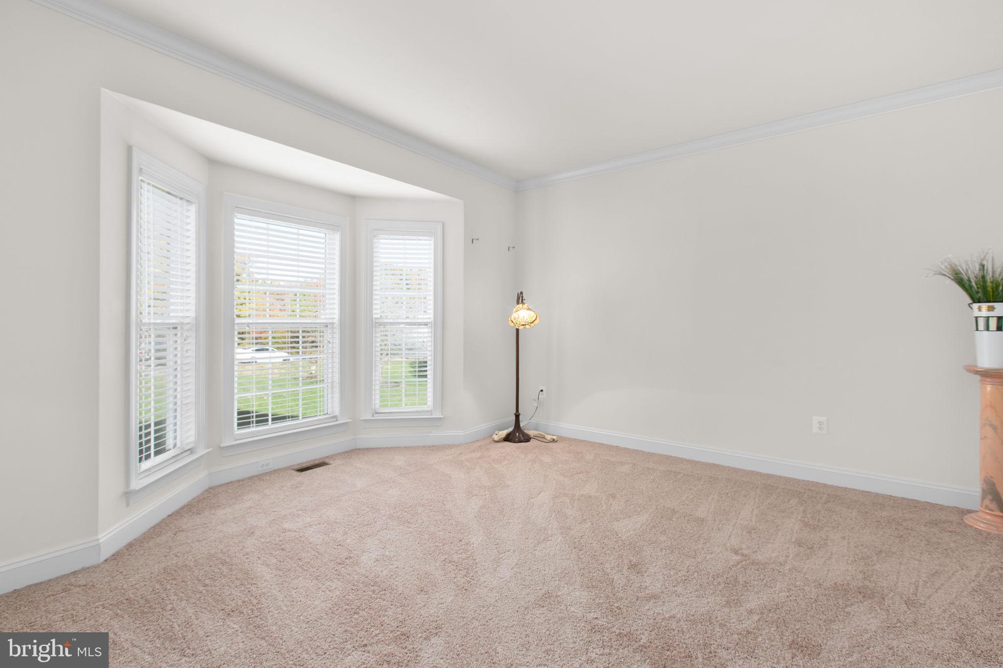 THE WILLOWS - Residential