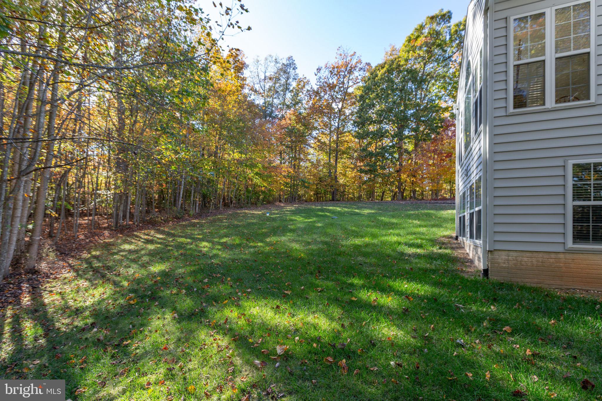 THE WILLOWS - Residential