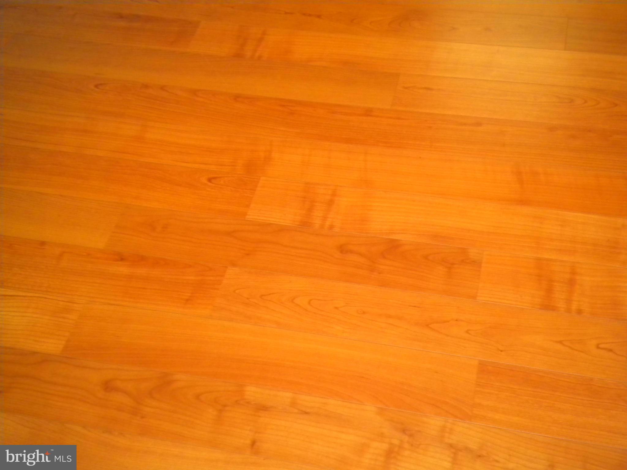 CELEBRATE - Residential