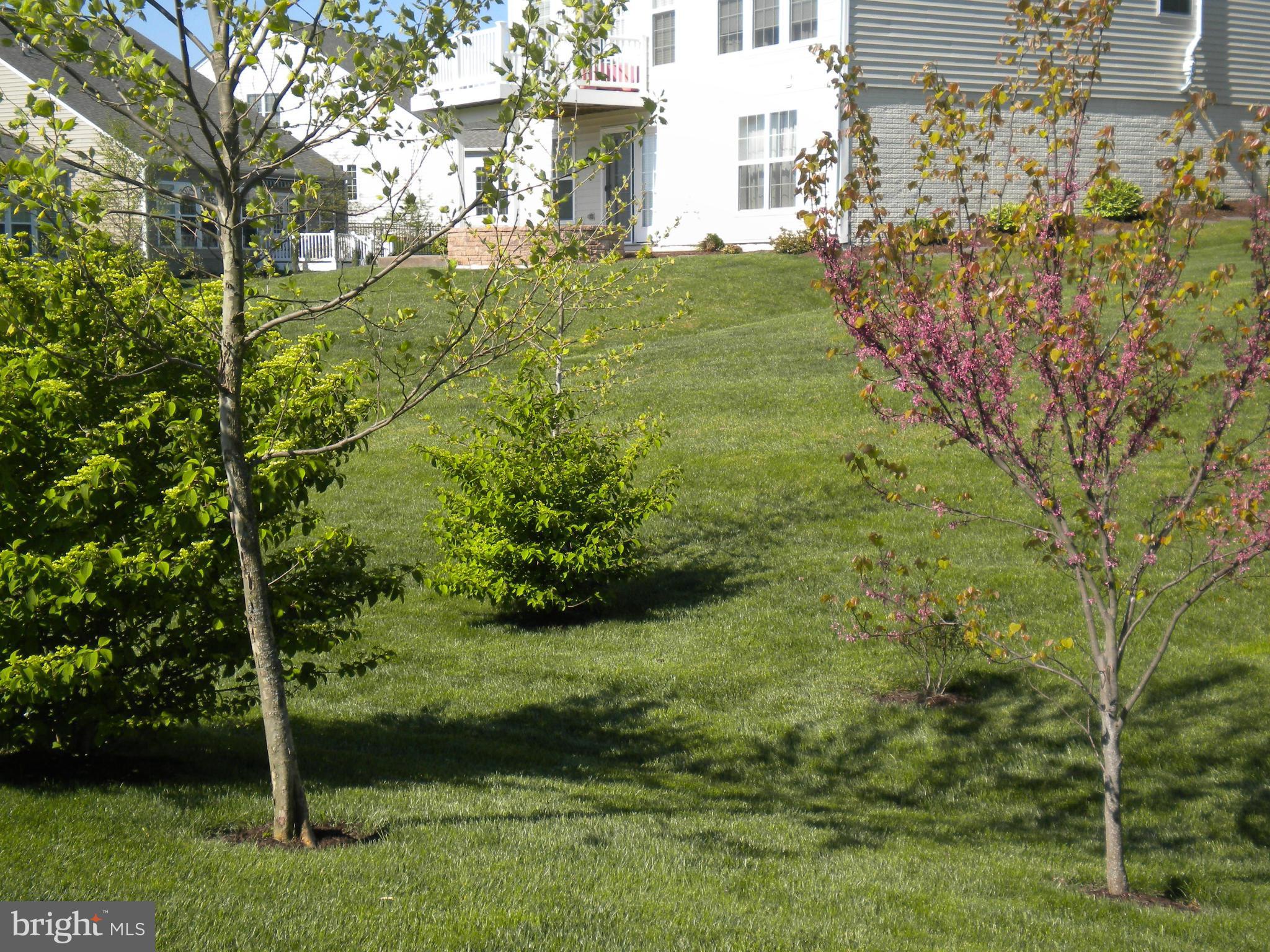 CELEBRATE - Residential