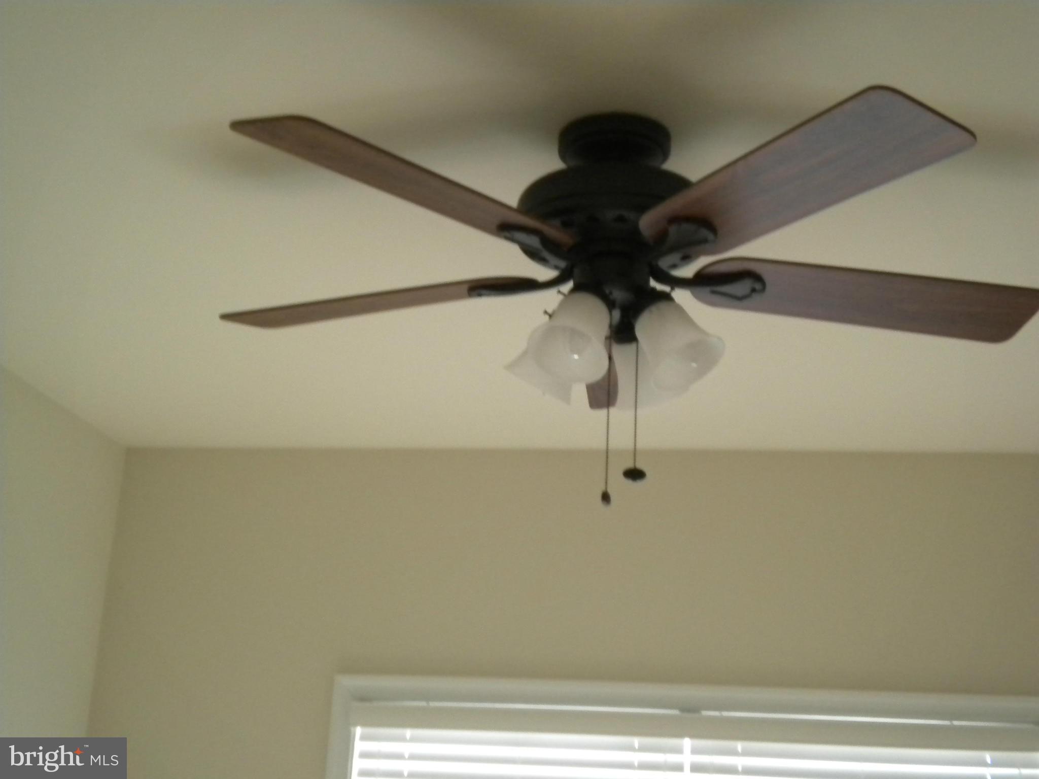 CELEBRATE - Residential