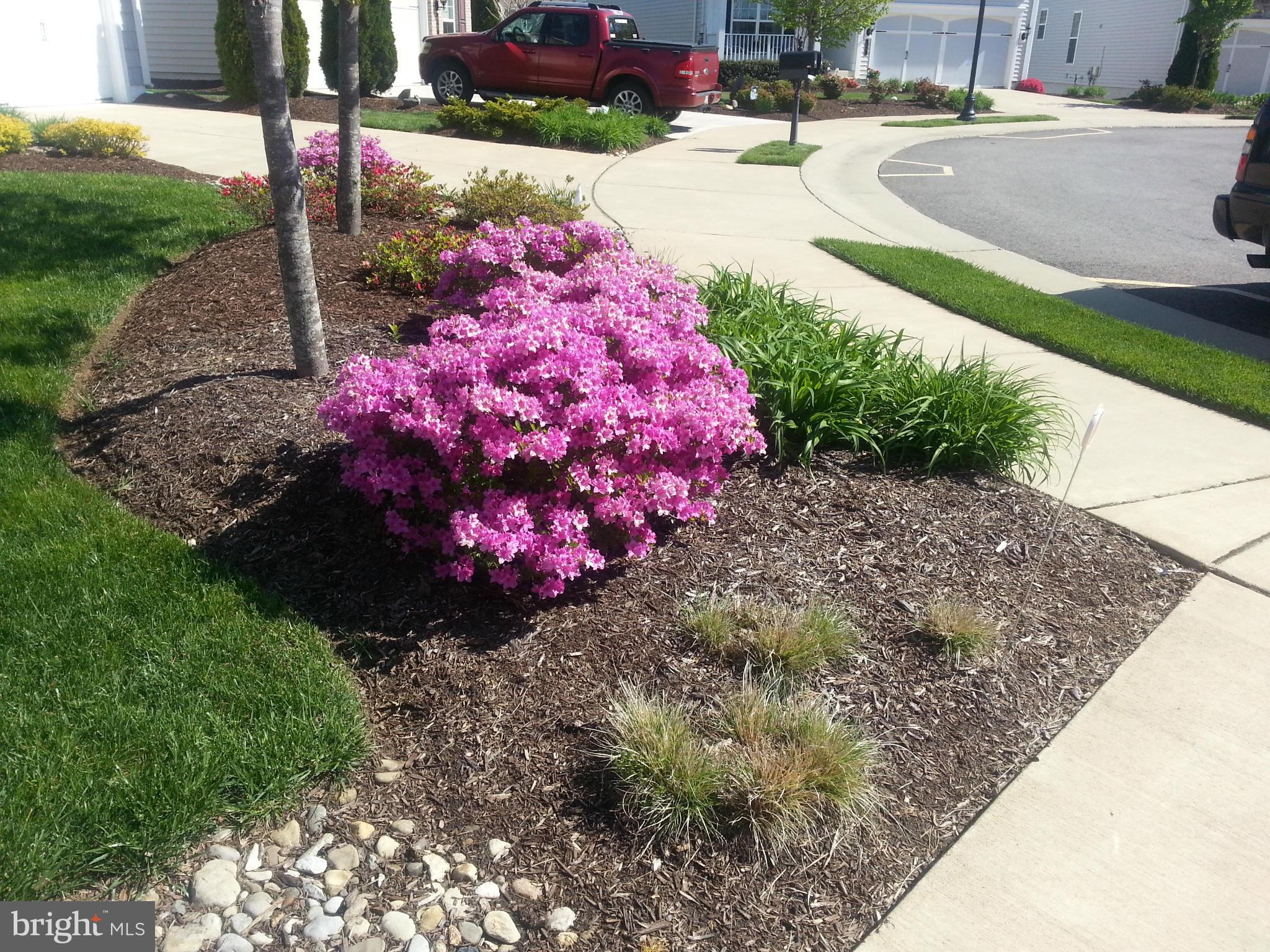 CELEBRATE - Residential