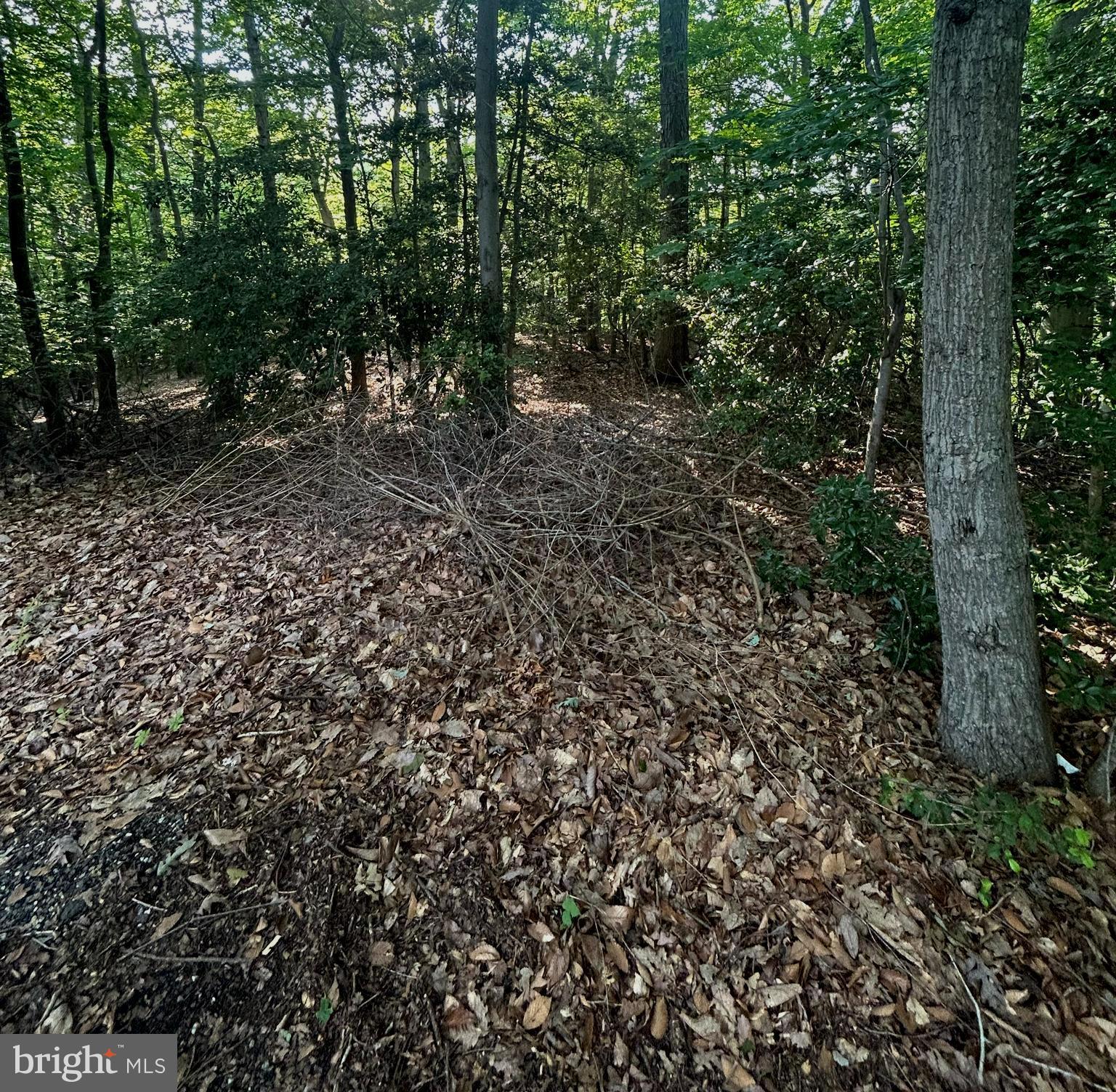 CHESAPEAKE RANCH ESTATES - Land