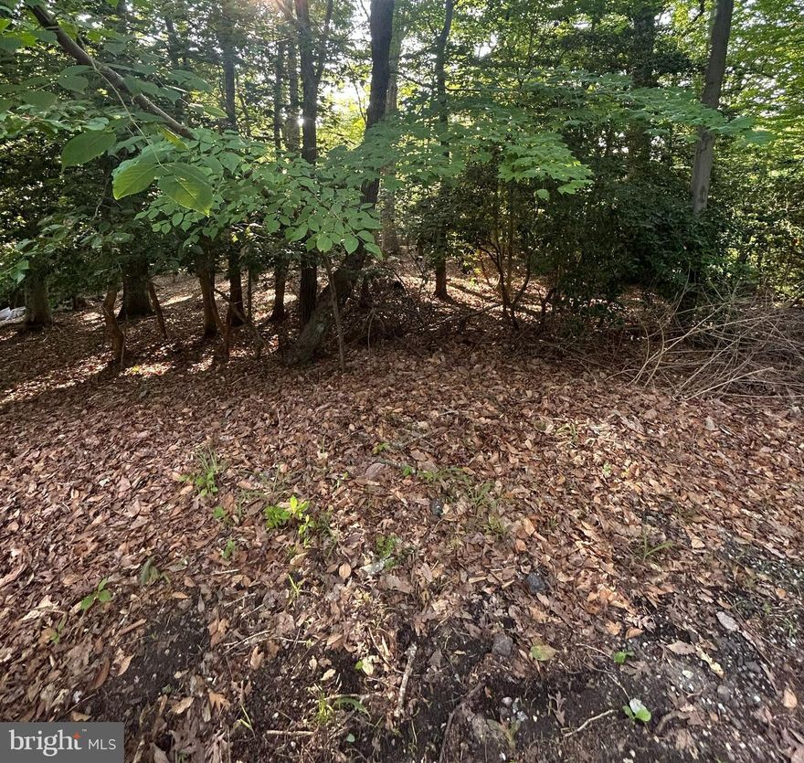 Home to be Built!  This land features a little over one acre of waterfront property. Plat features a proposed house plan and approved perc.