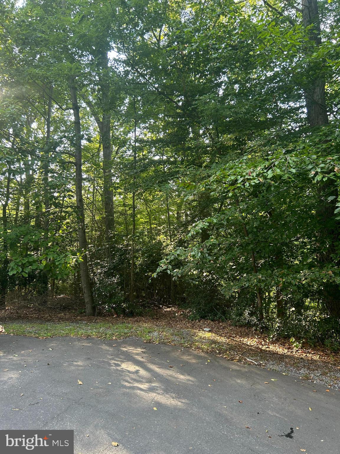 CHESAPEAKE RANCH ESTATES - Land