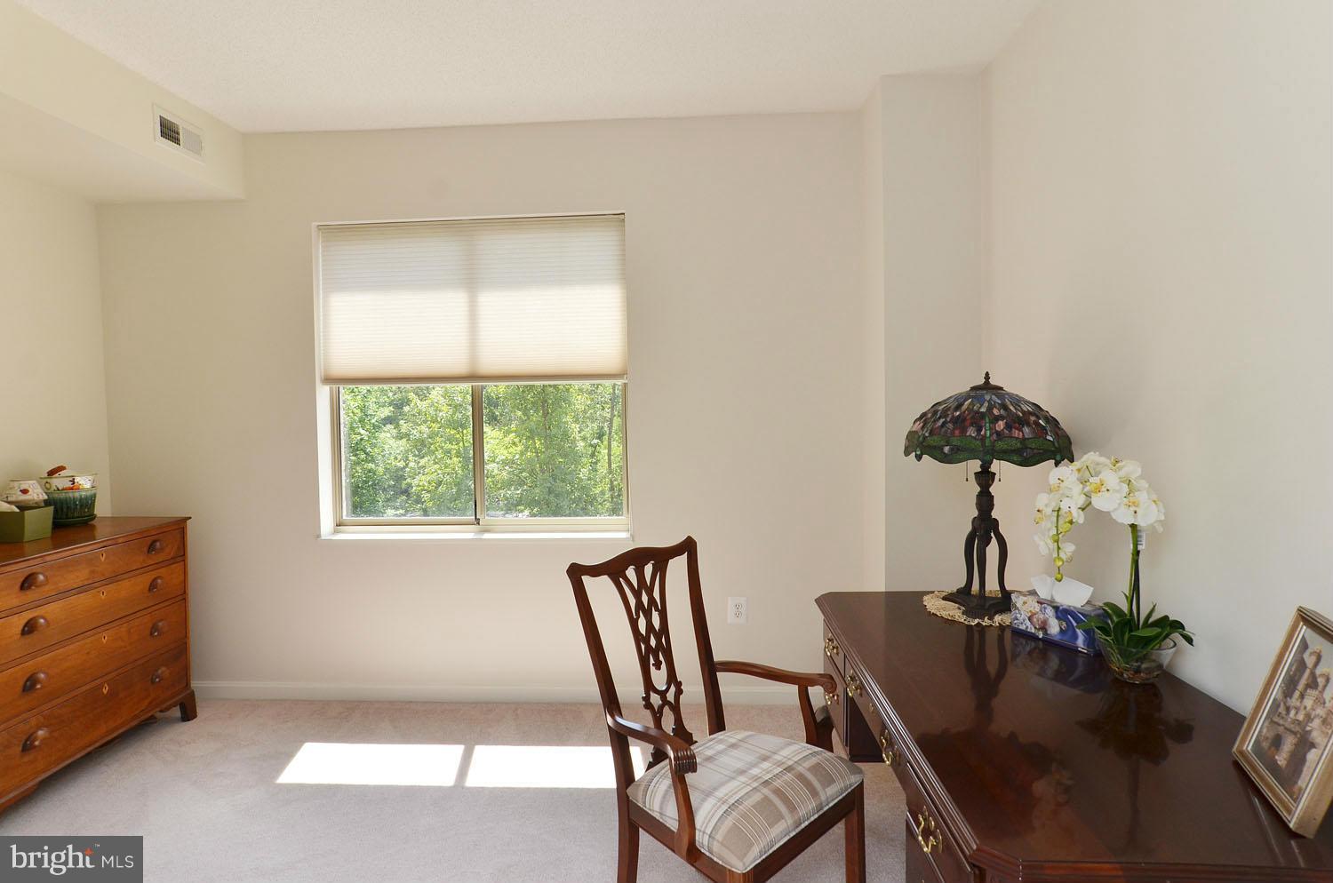 BLUE RIDGE LEISURE WORLD - Residential