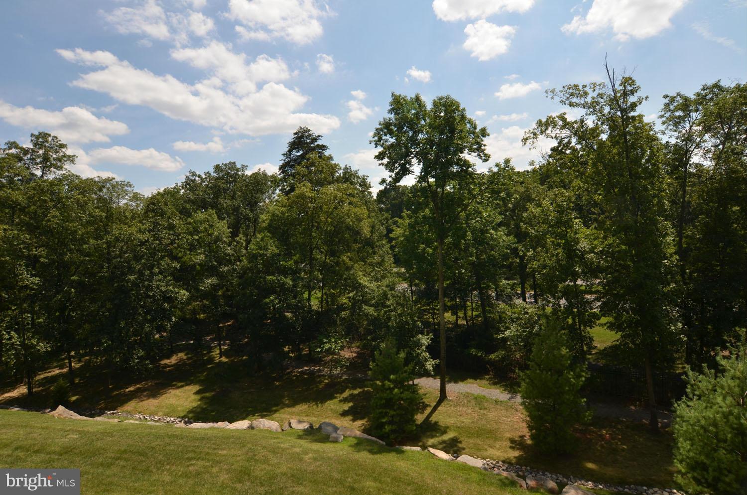 BLUE RIDGE LEISURE WORLD - Residential