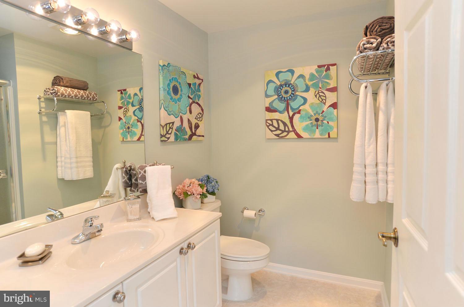 BLUE RIDGE LEISURE WORLD - Residential