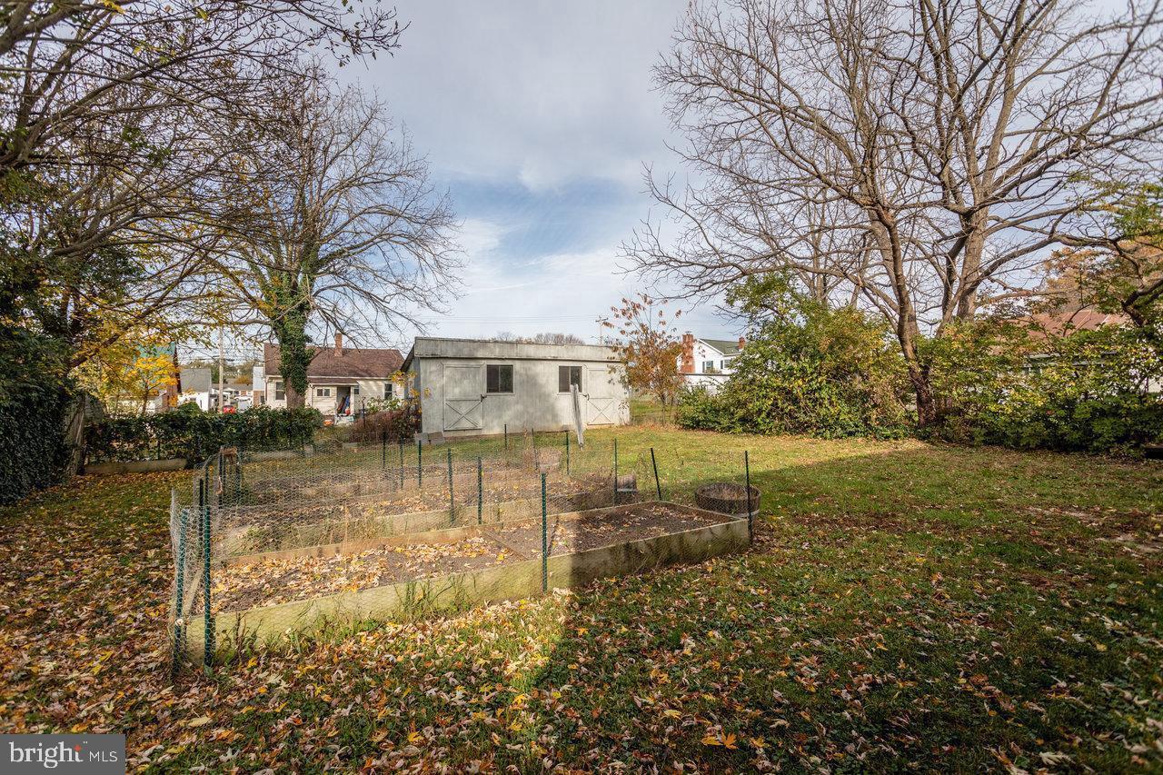 COLLICELLO - Residential Lease