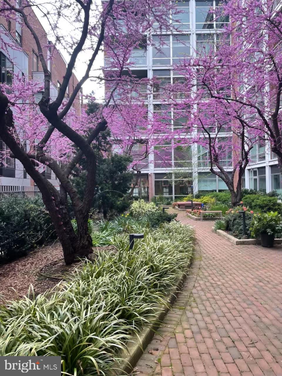 OLD CITY - Residential