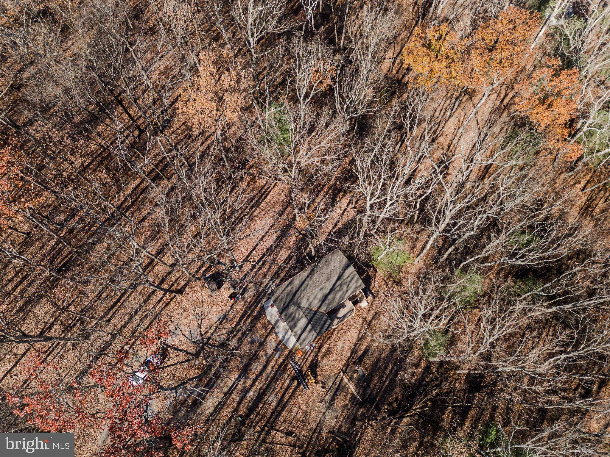 GLENWOOD FOREST - Residential