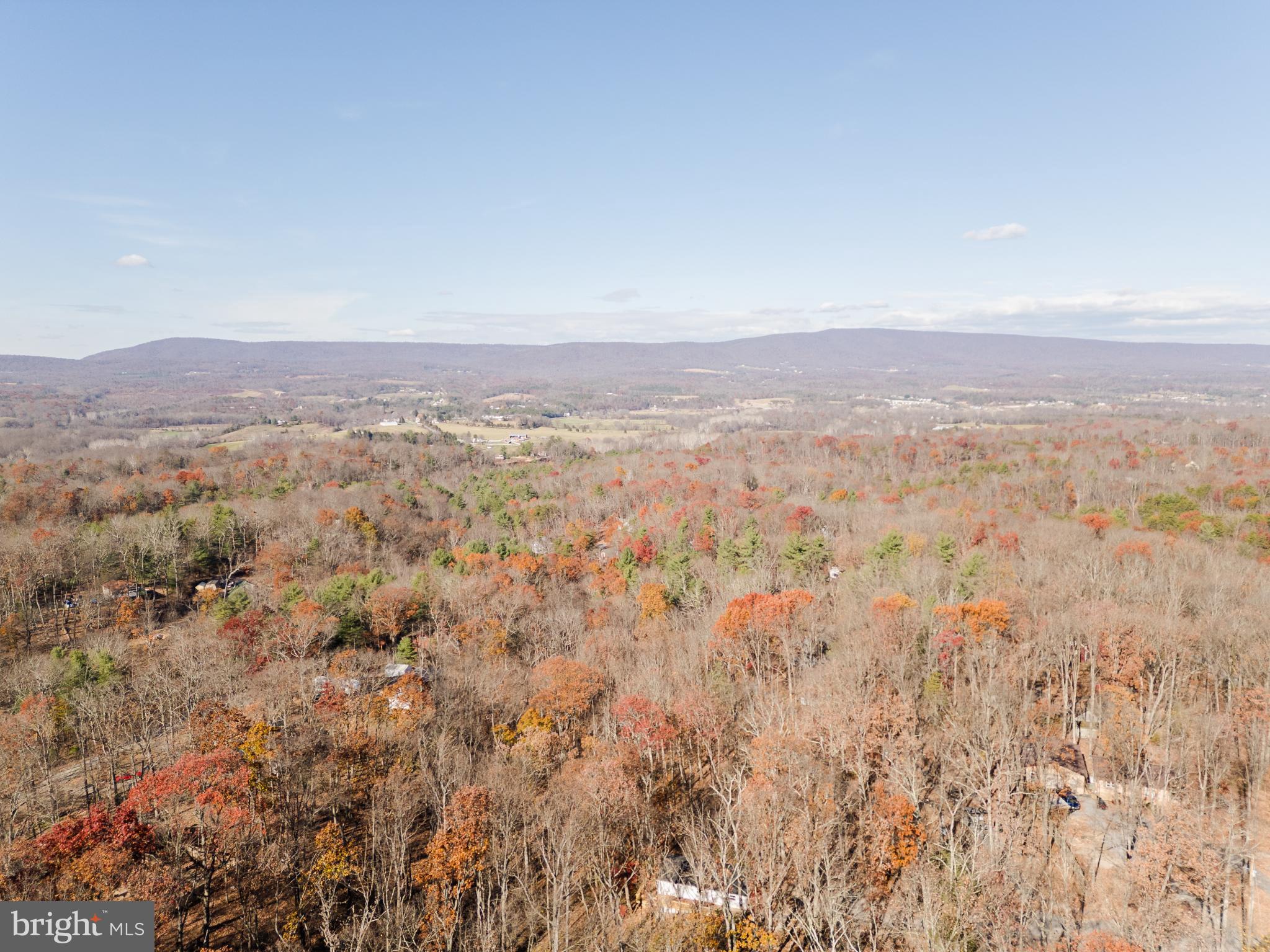 GLENWOOD FOREST - Residential