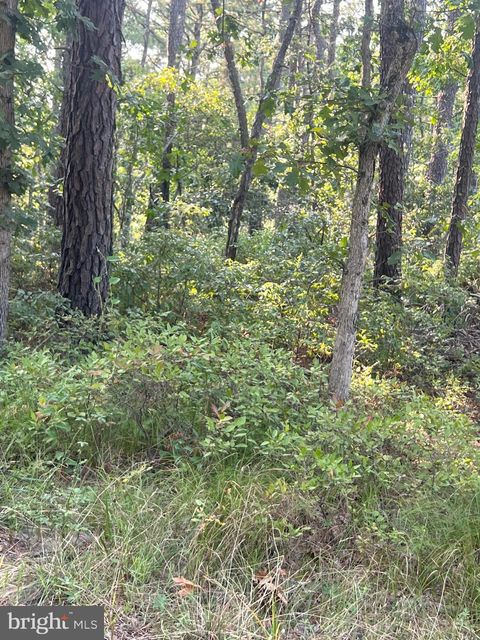 0 MARGARET STREET BROWNS MILLS NJ 08015