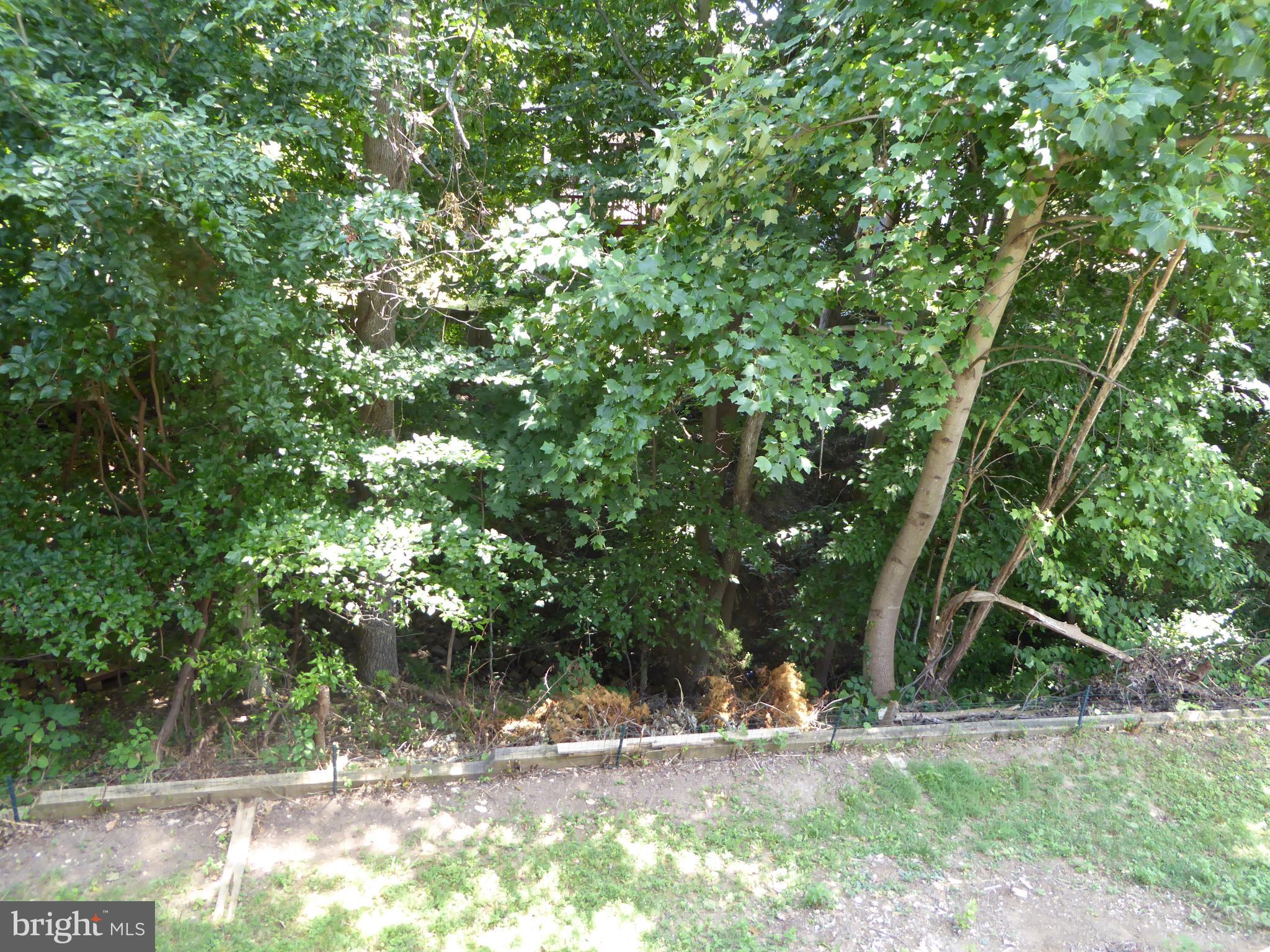 CARDINAL RIDGE - Residential