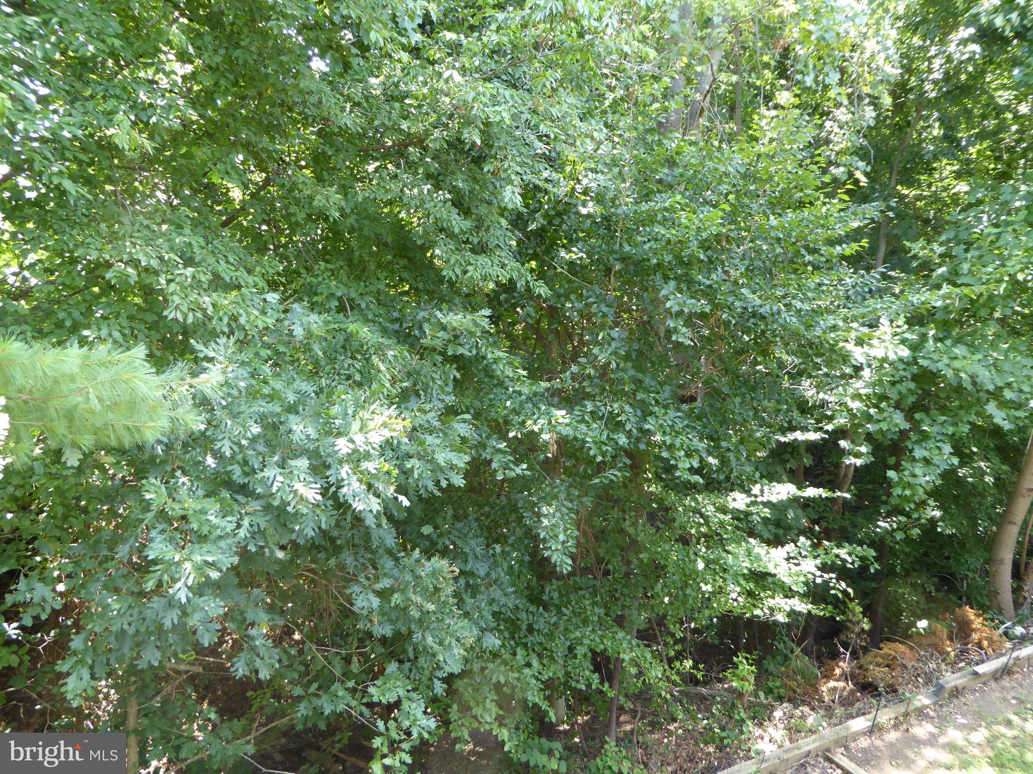 CARDINAL RIDGE - Residential