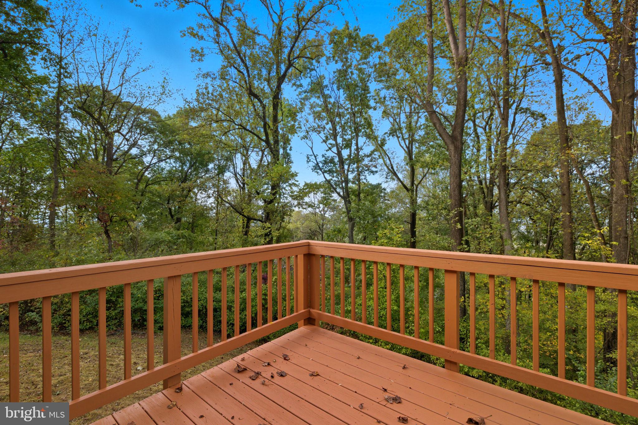 SHEN FARMS MT LAKE - Residential