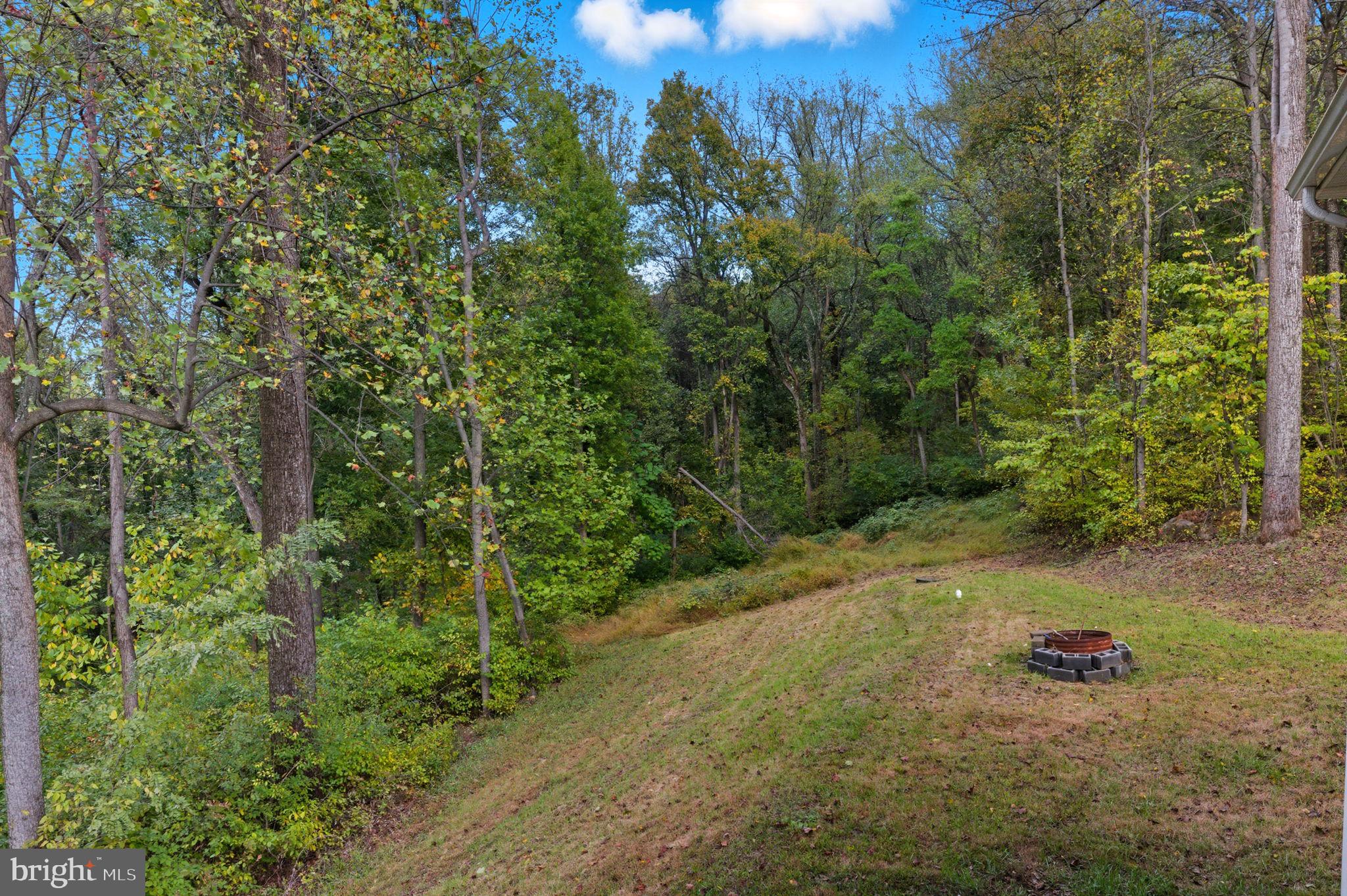 SHEN FARMS MT LAKE - Residential