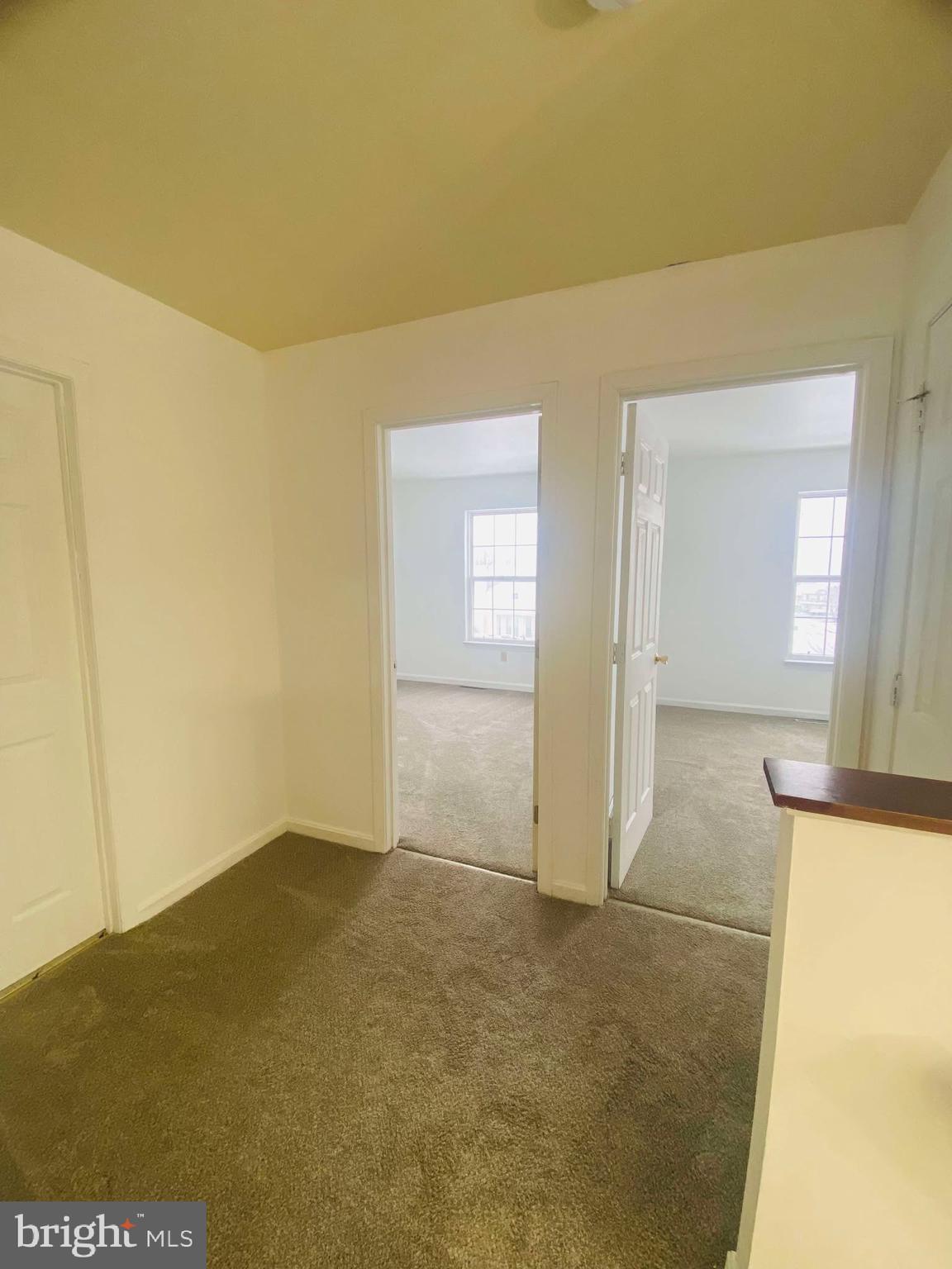 NEW DAWN II - Residential