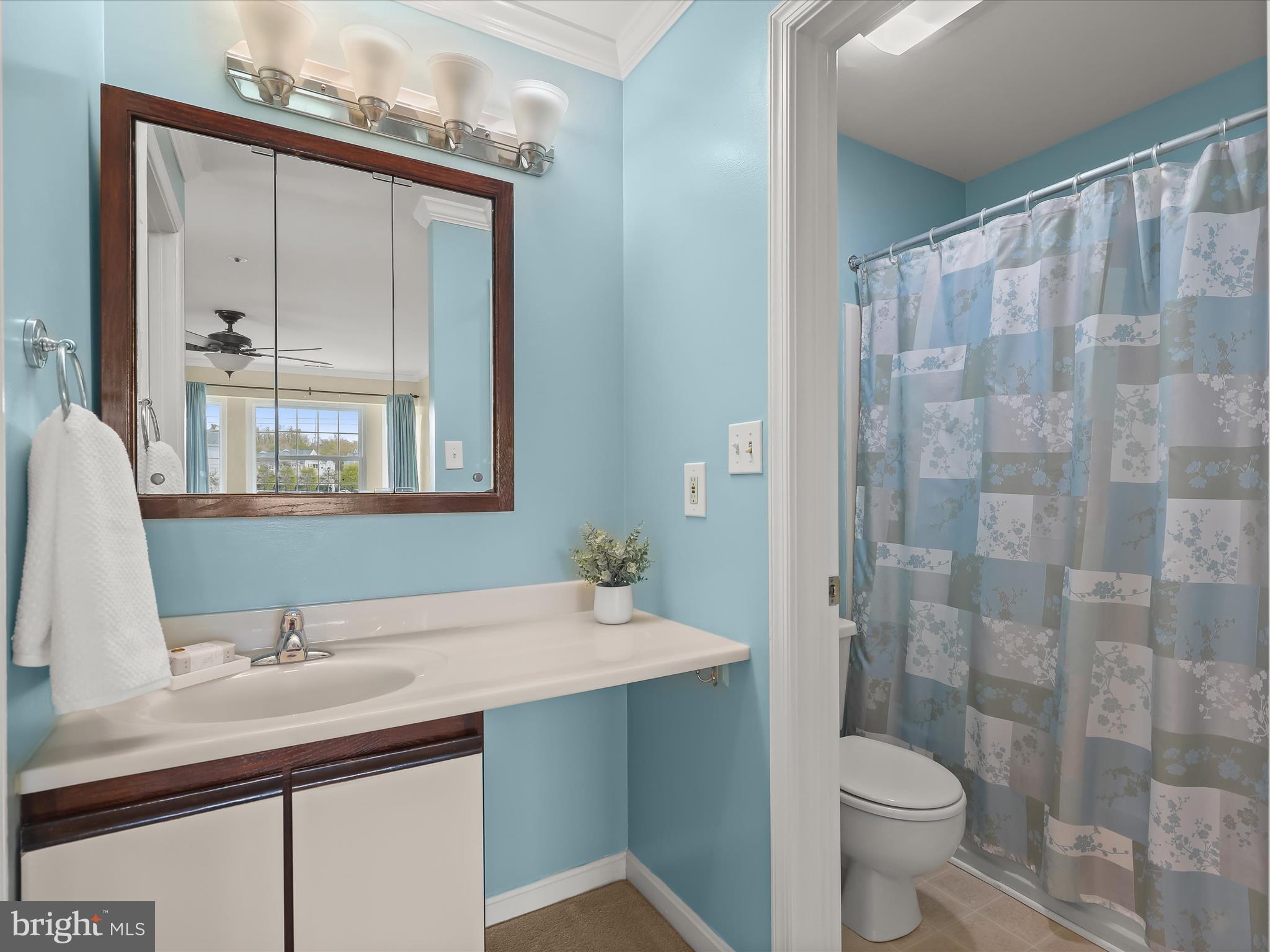 VILLAGE OF MONTGOMERY RUN - Residential