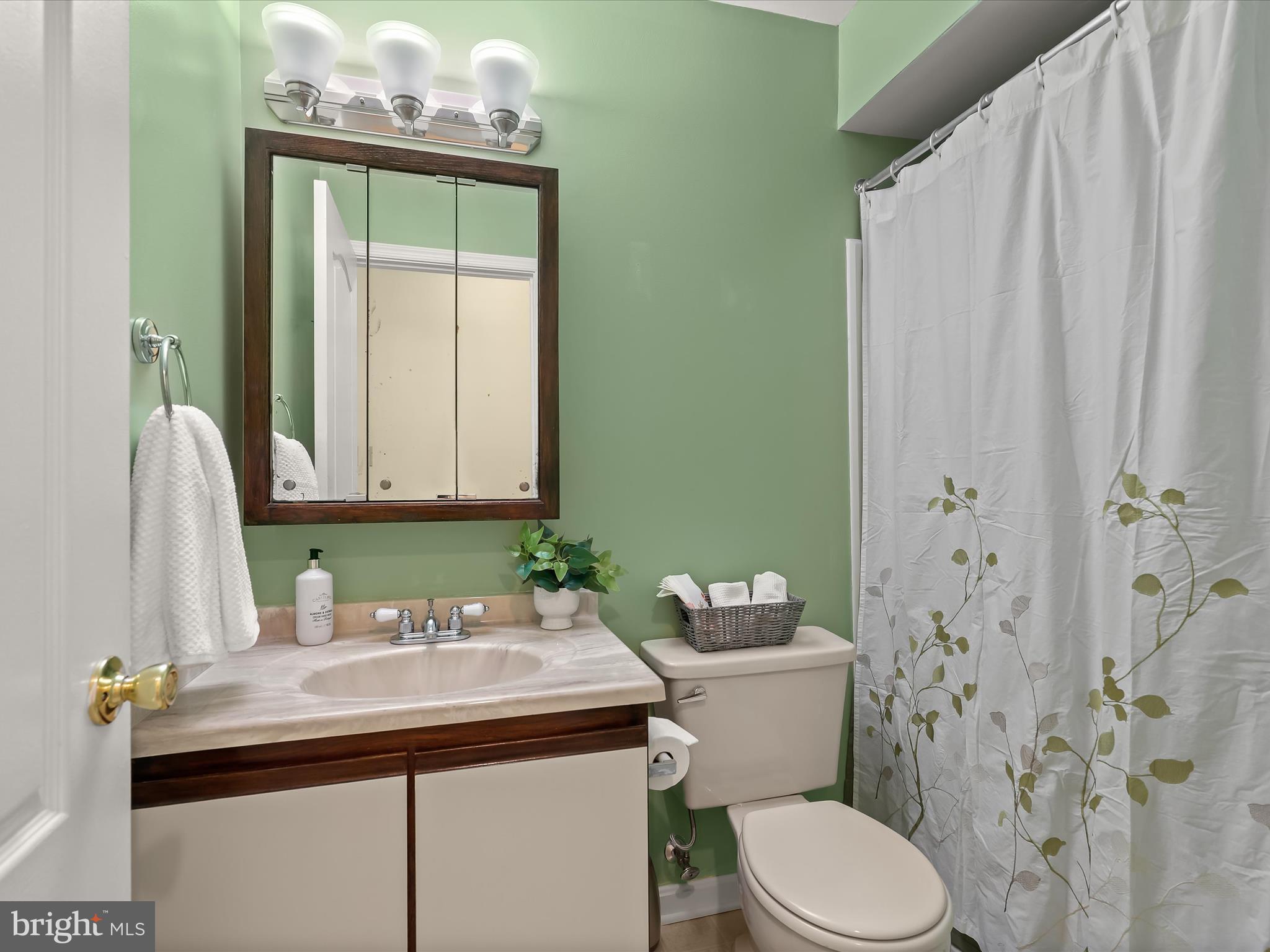 VILLAGE OF MONTGOMERY RUN - Residential