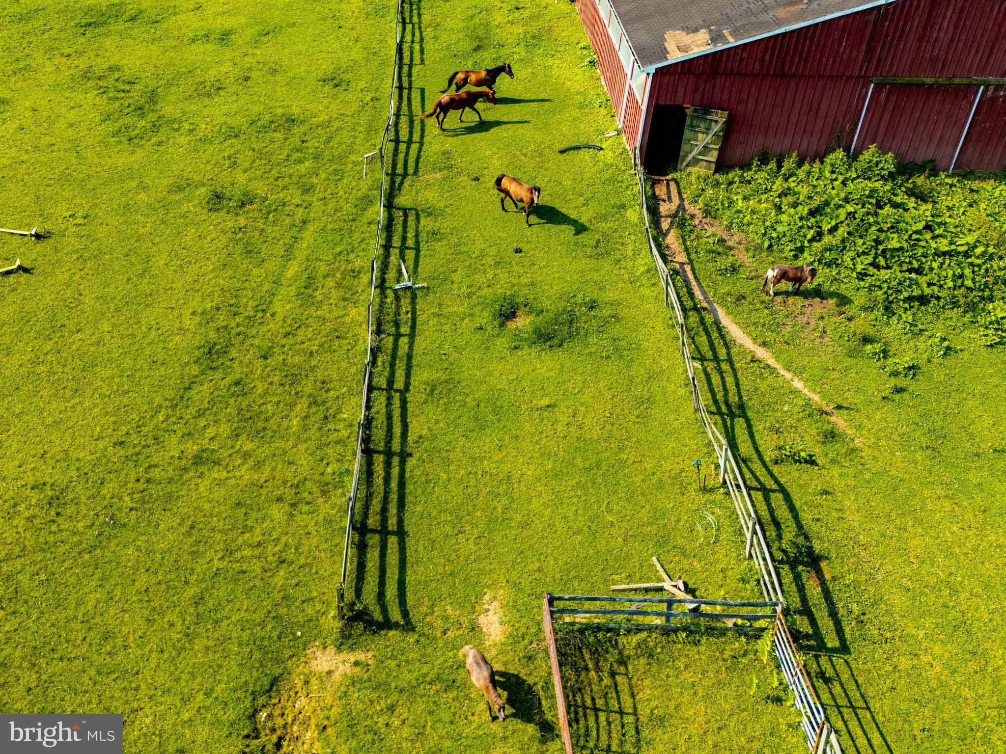 TUFTON FARMS - Residential Lease