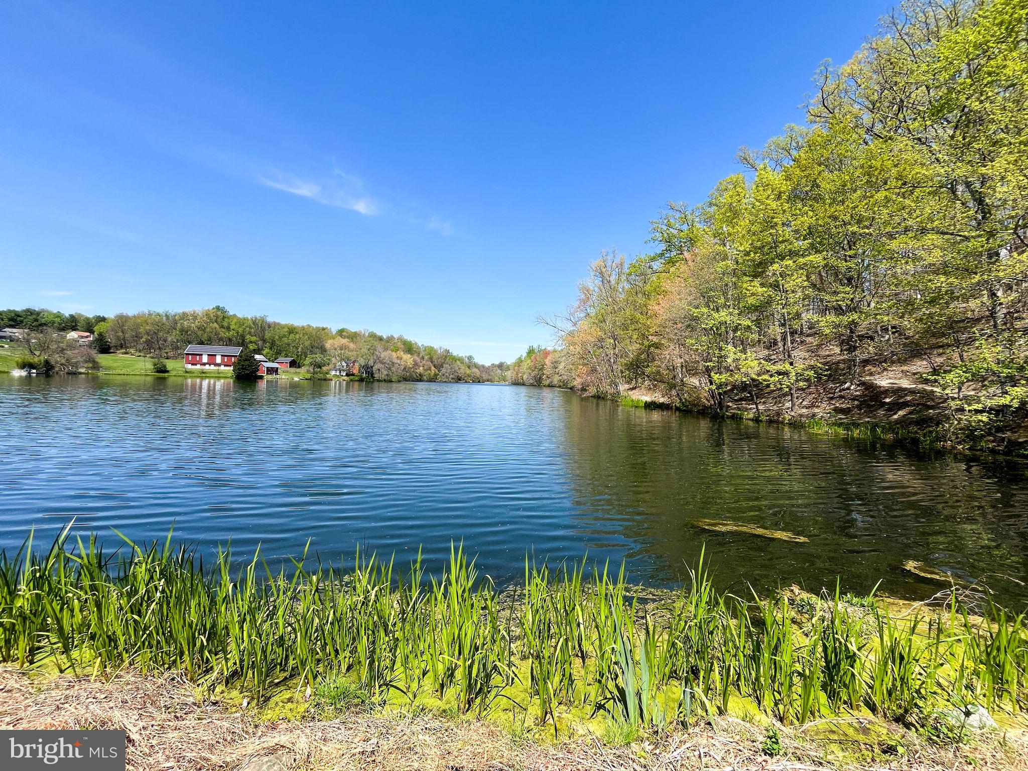 LAKE LINGANORE EAGLEHEAD - Residential