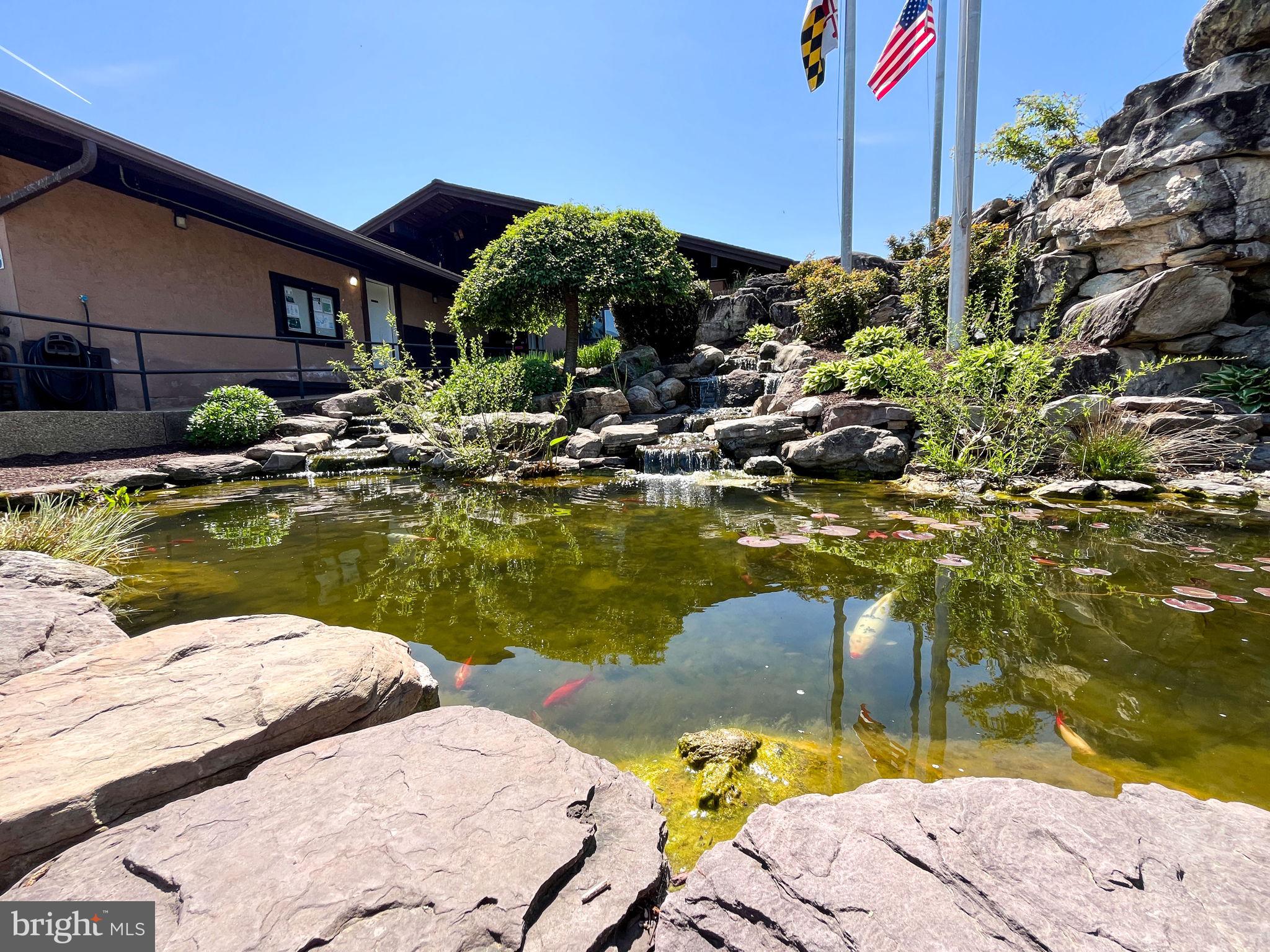 LAKE LINGANORE EAGLEHEAD - Residential