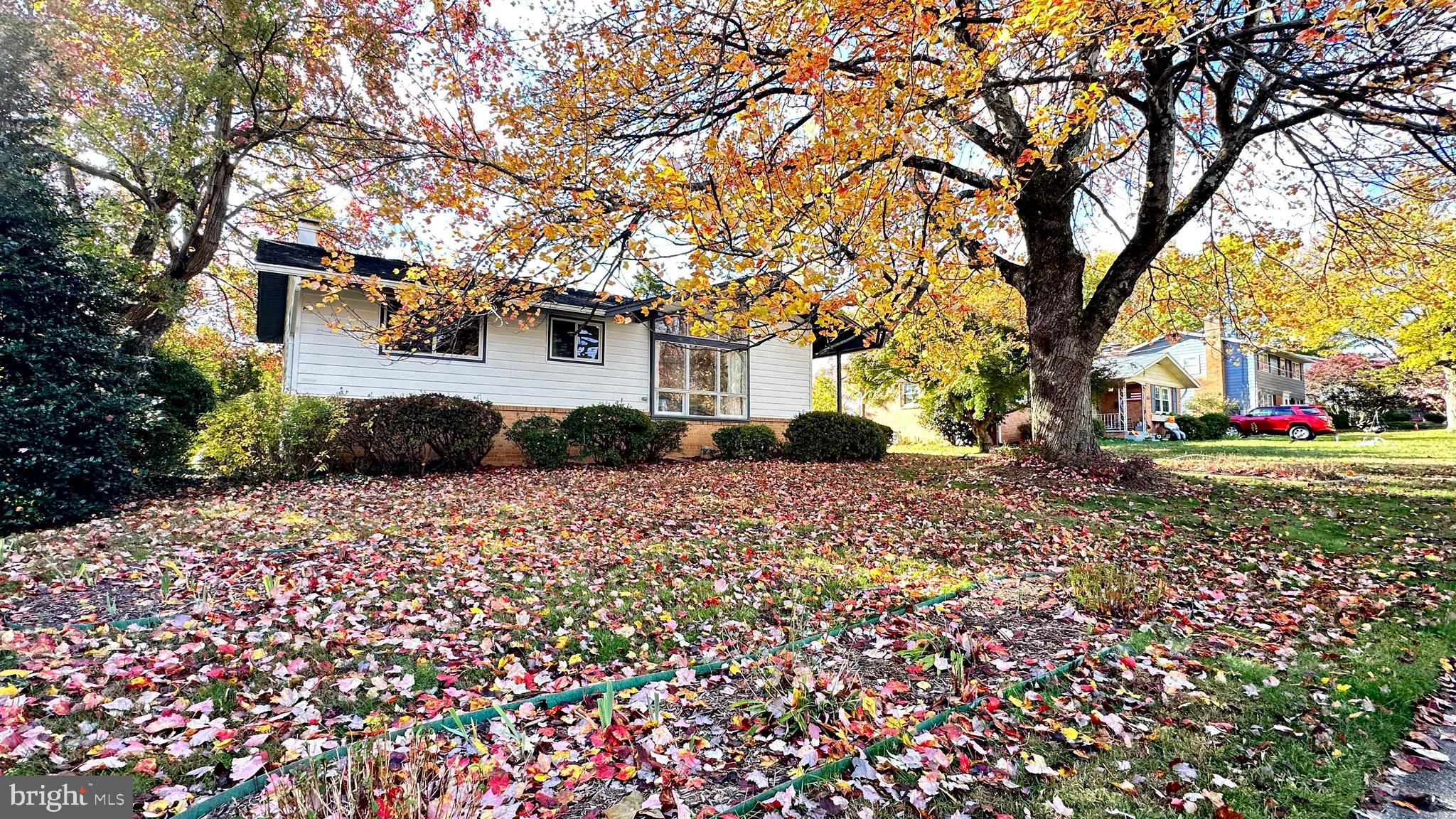 8517 MARQUETTE STREET