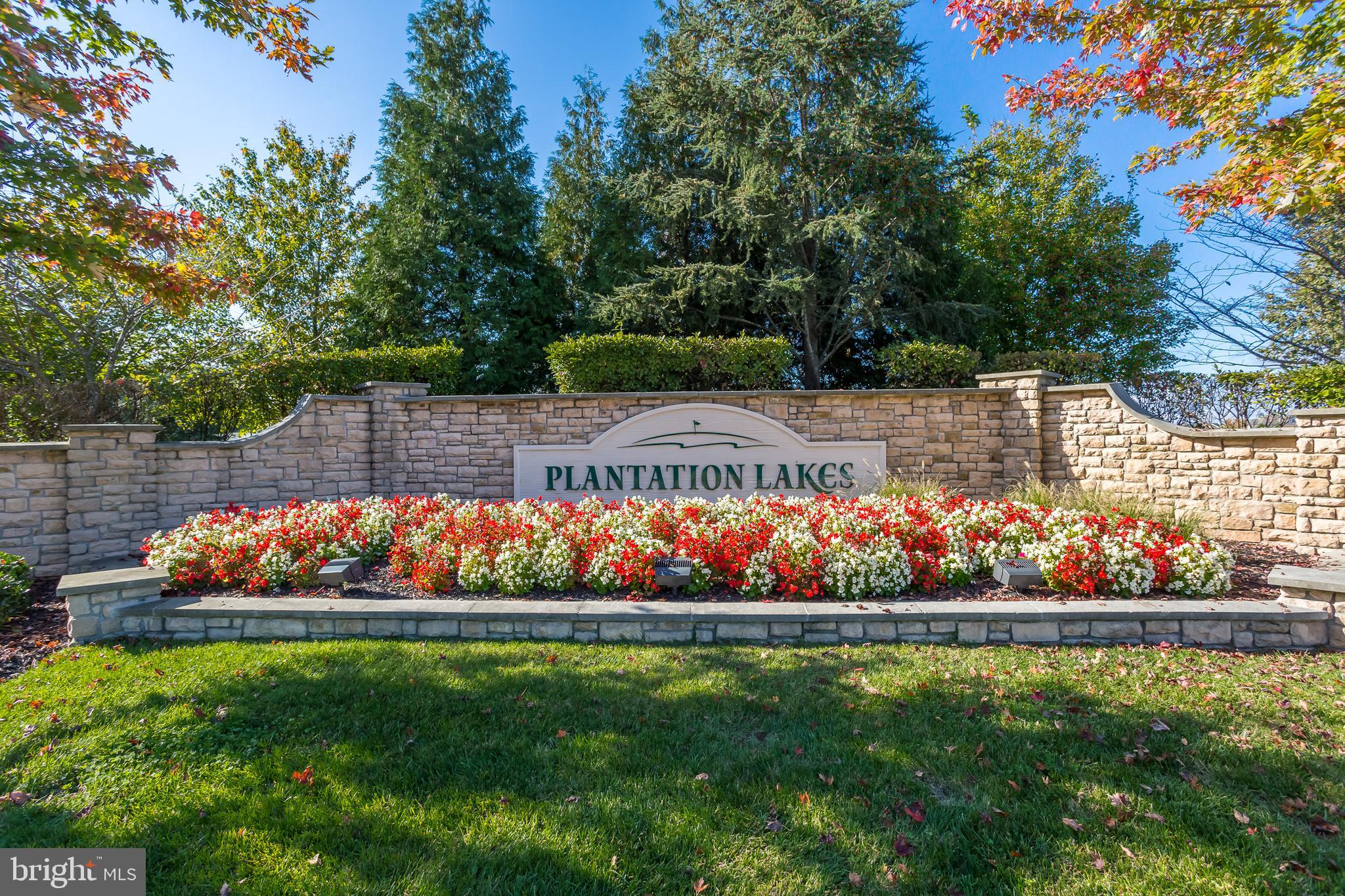 29441 GLENWOOD DRIVE