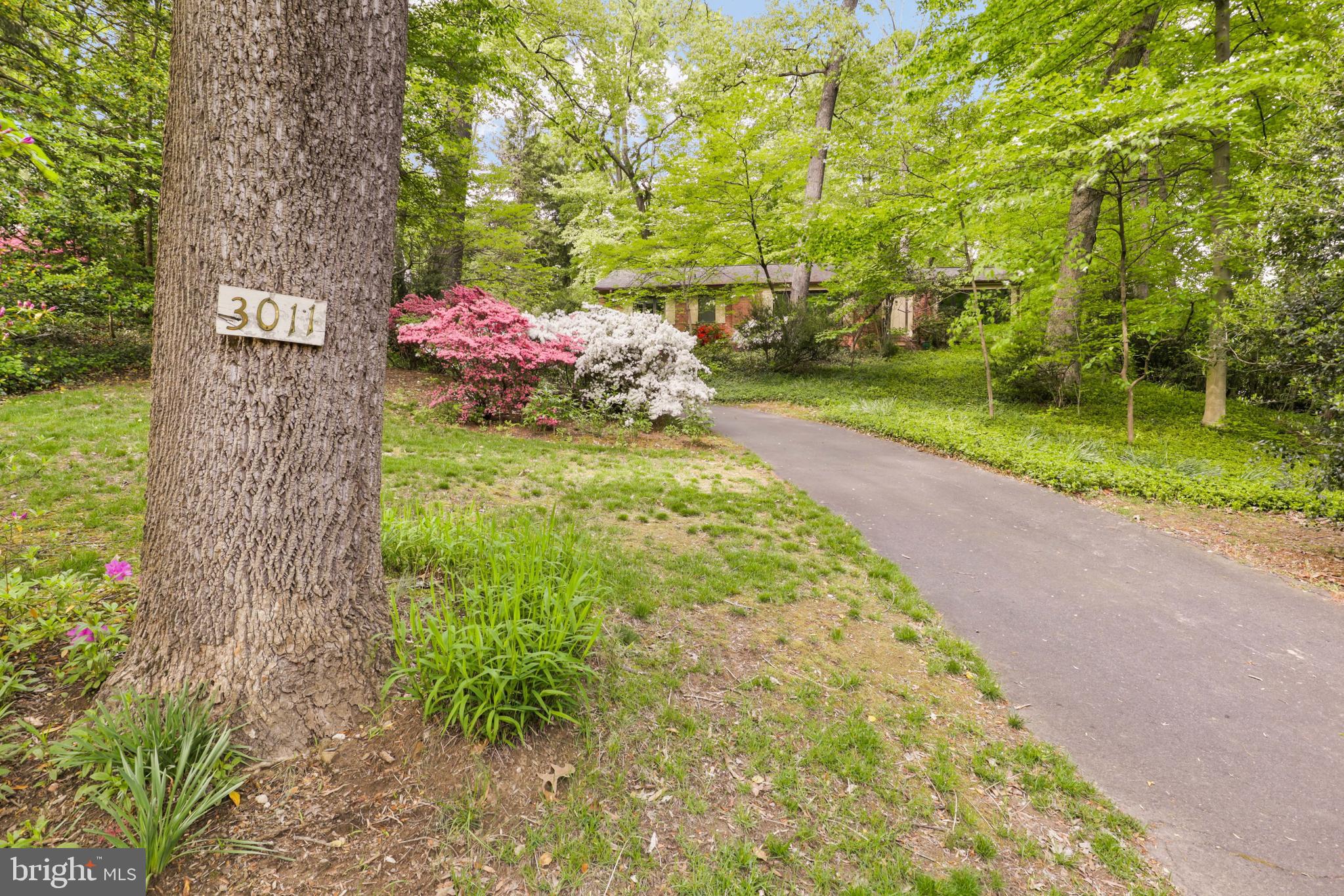 BELLEVUE FOREST - Residential