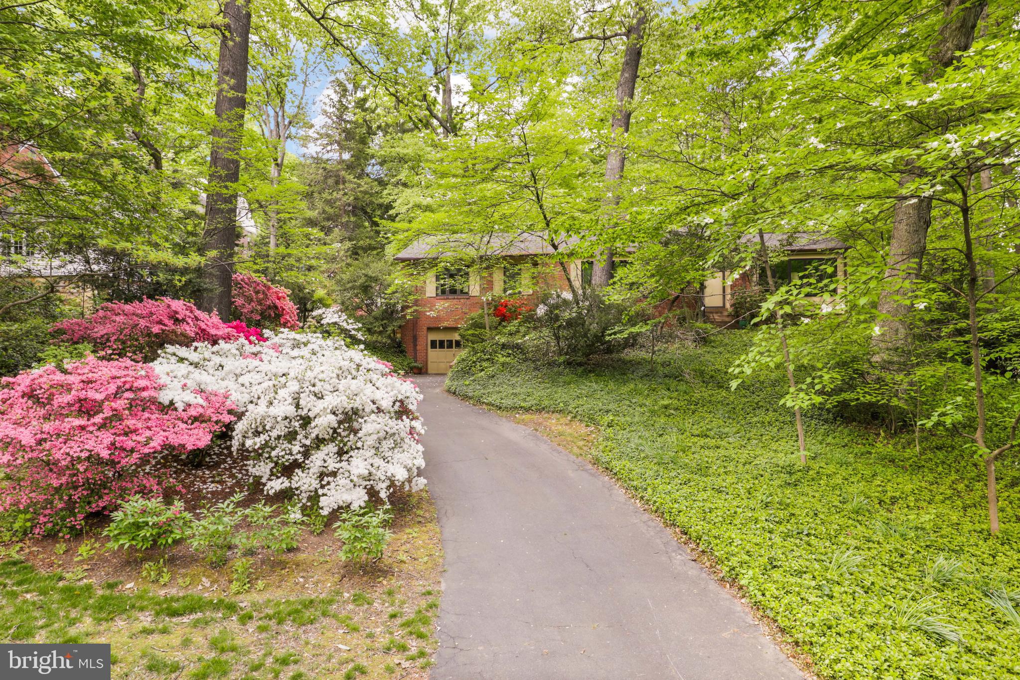 BELLEVUE FOREST - Residential