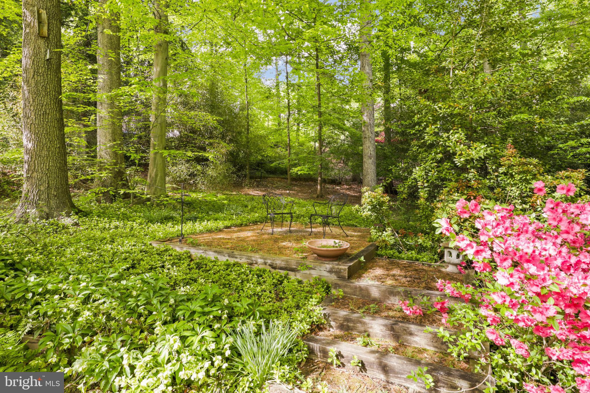 BELLEVUE FOREST - Residential