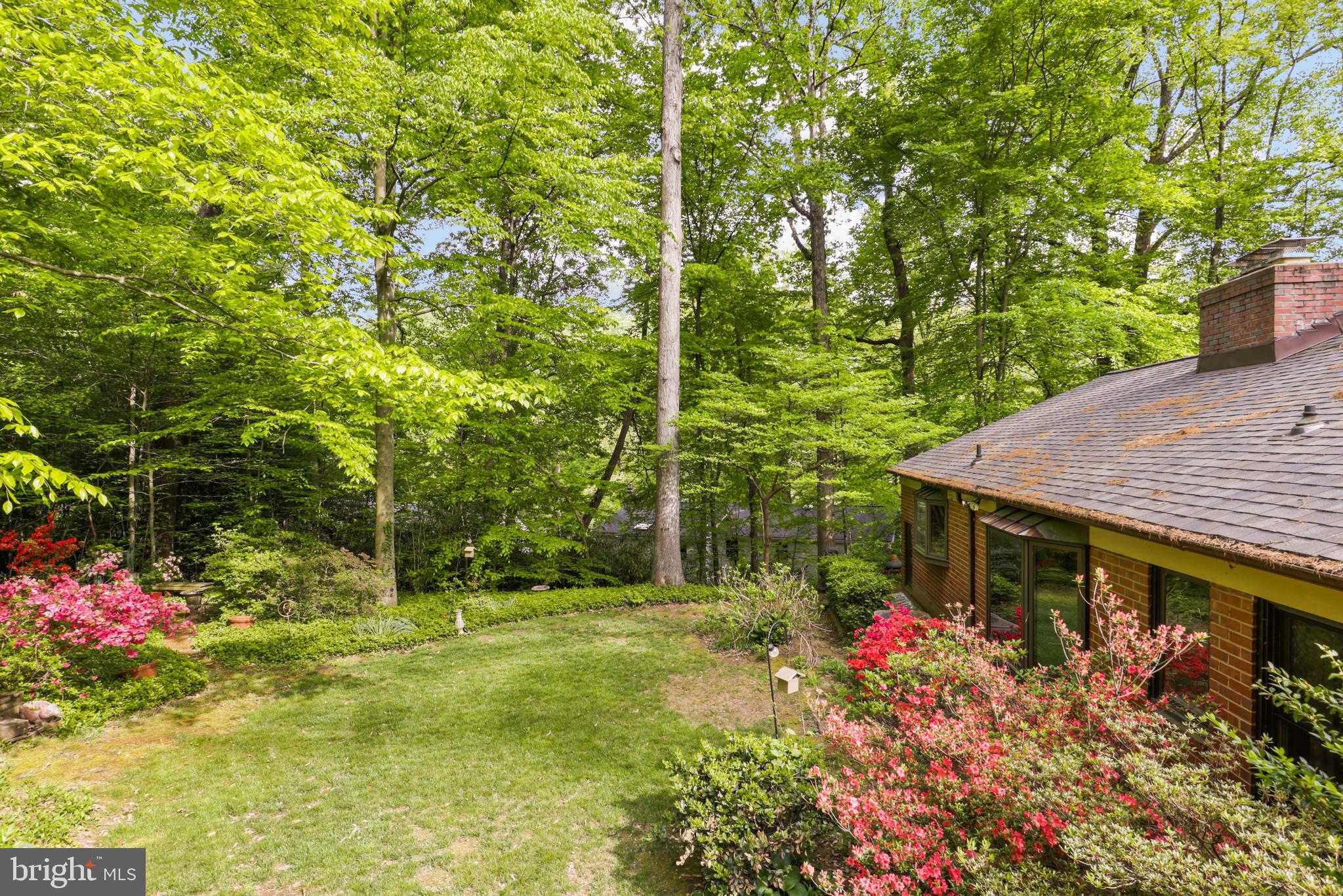 BELLEVUE FOREST - Residential