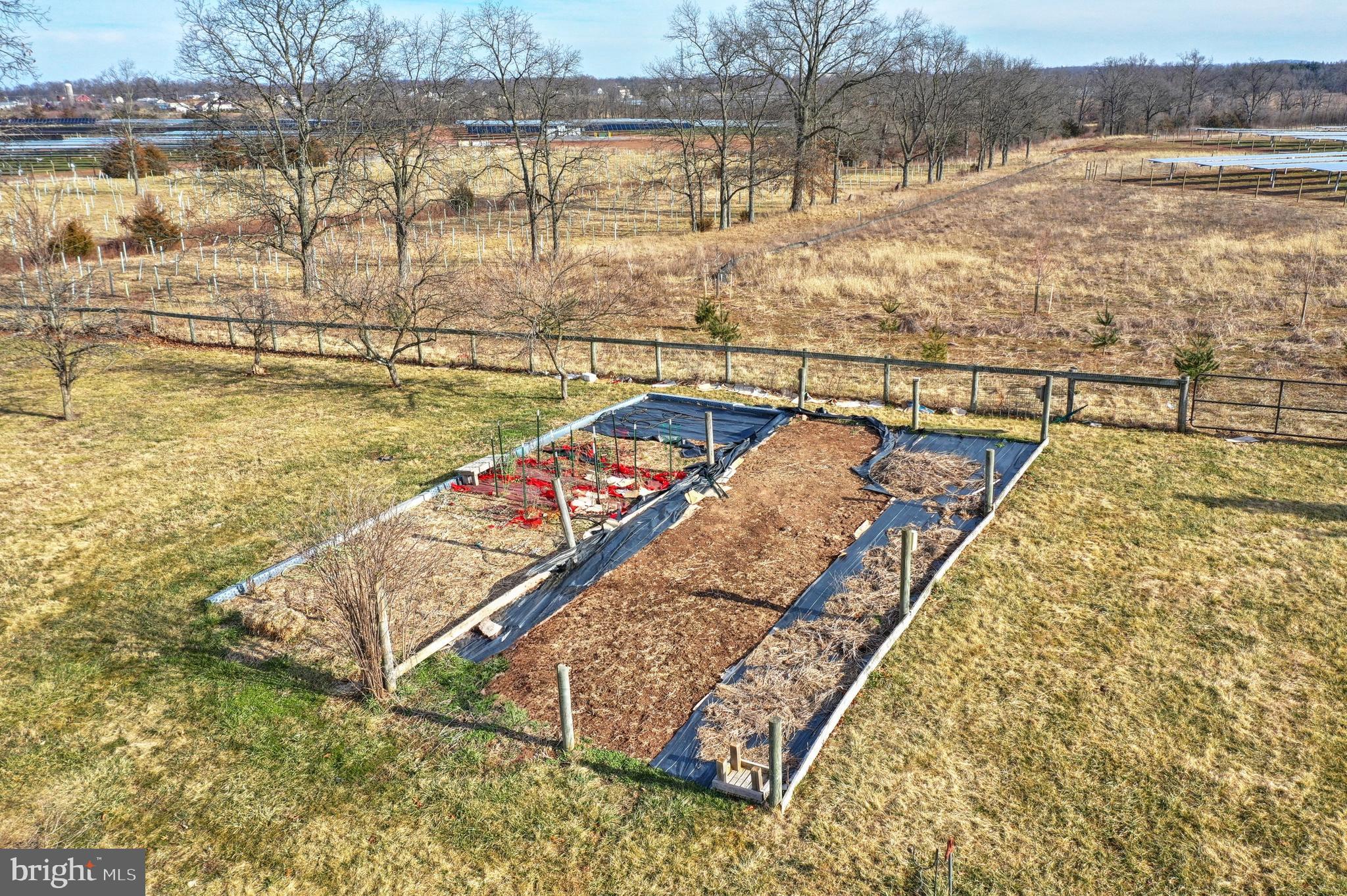 STRABAN TOWNSHIP - Farm