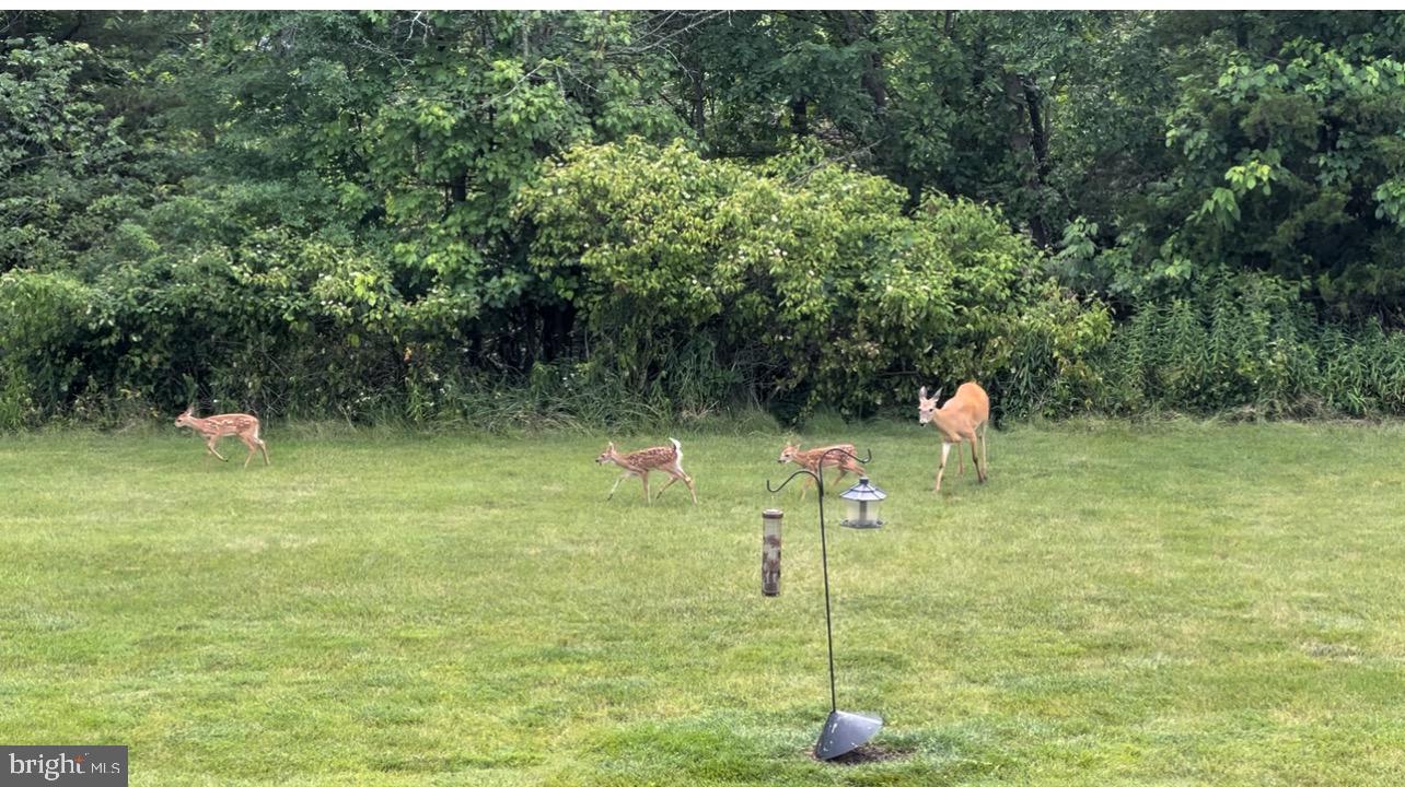 WINDLESTRAE - Residential