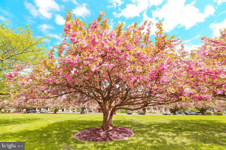 TAPESTRY - Residential