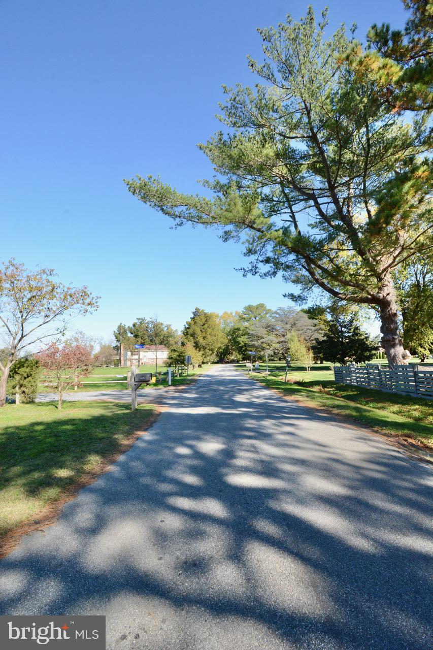 BELLEVUE - Residential Lease