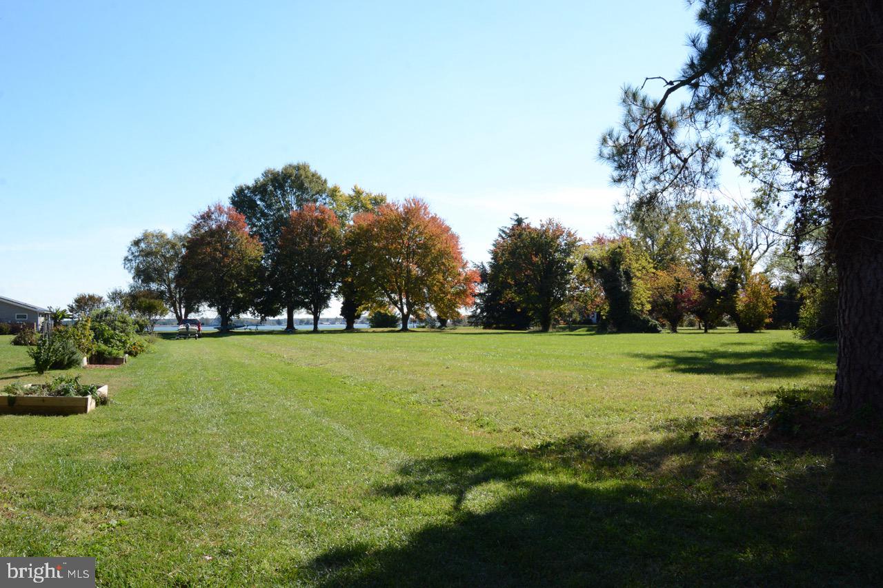 BELLEVUE - Residential Lease