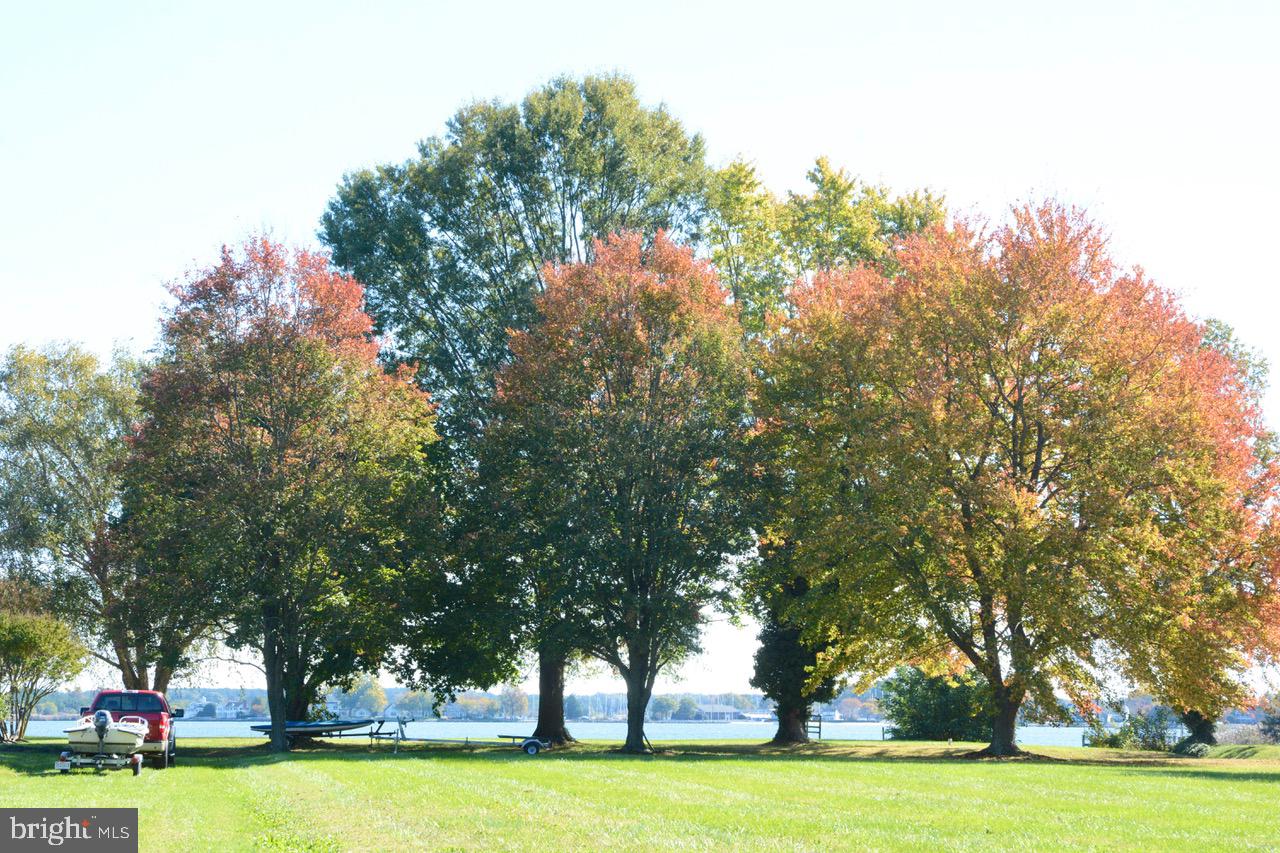 BELLEVUE - Residential Lease