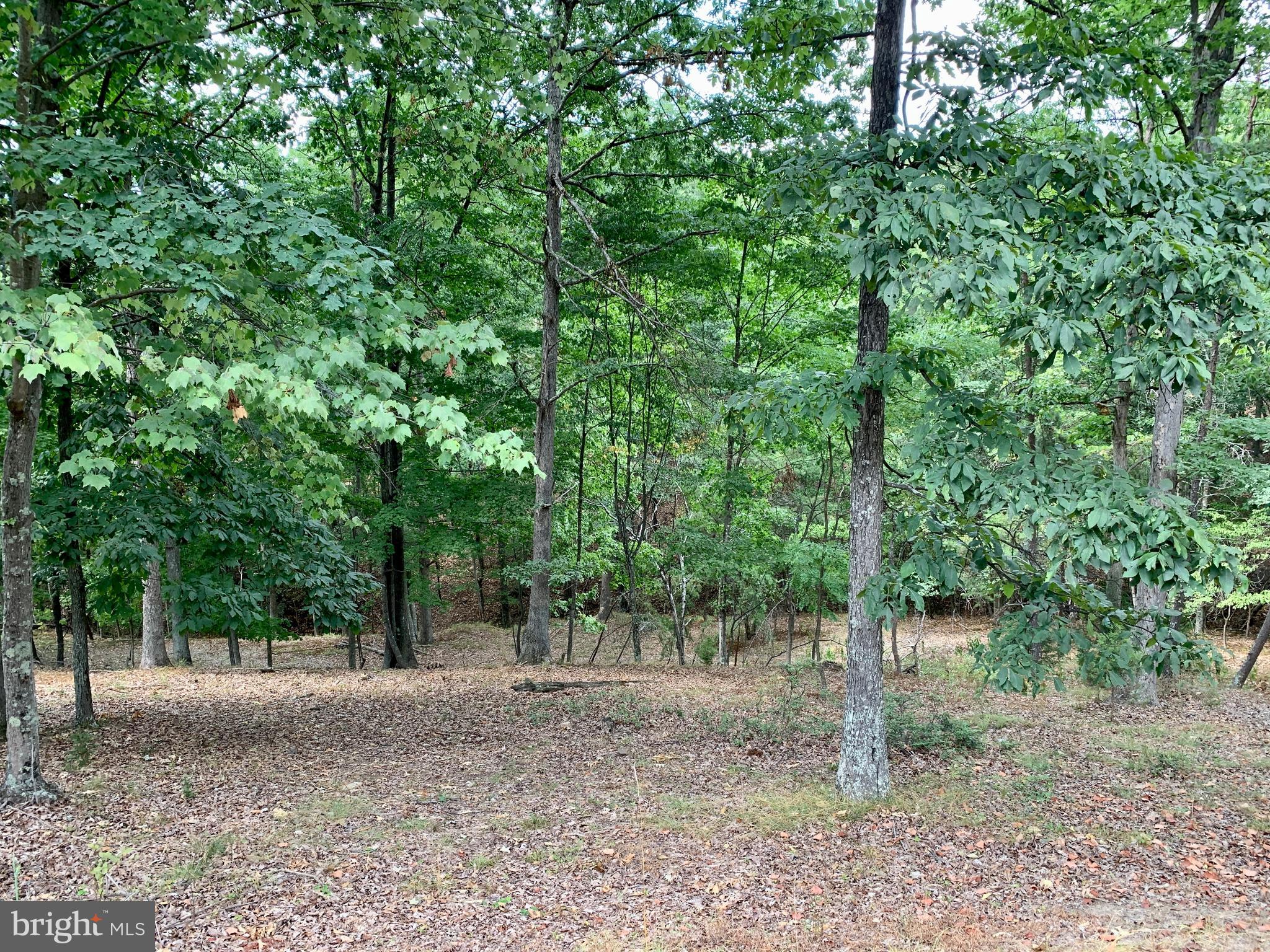 LITTLE MOUNTAIN ESTATES - Residential