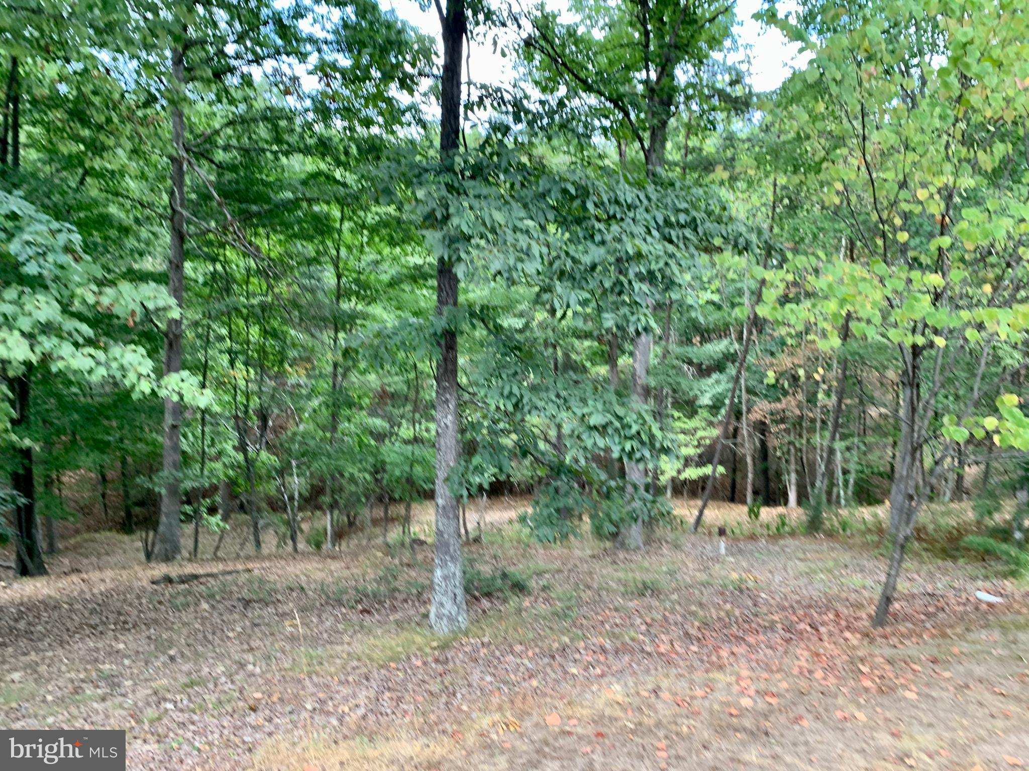 LITTLE MOUNTAIN ESTATES - Residential