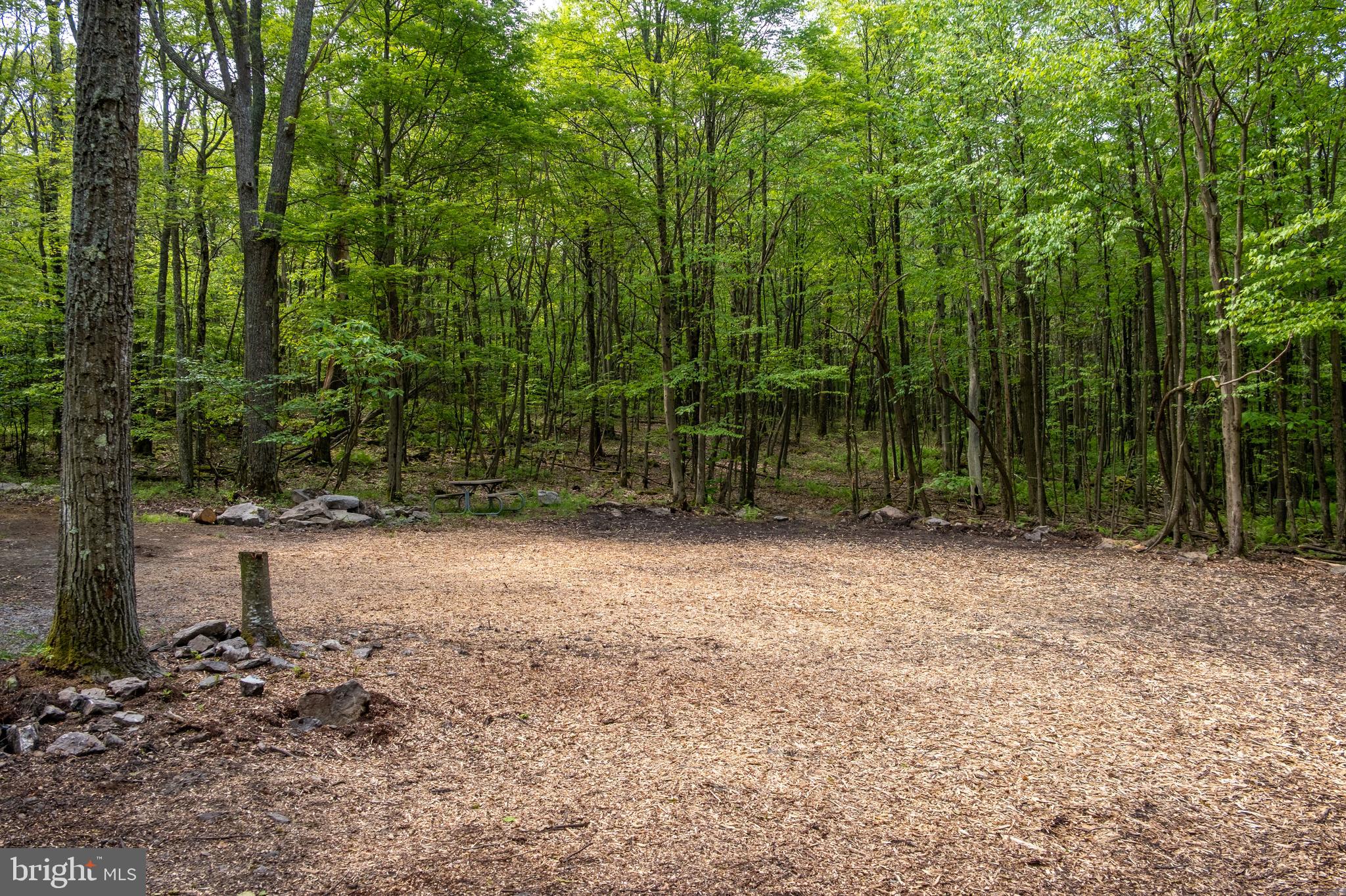 LOOKING FOR A SECLUDED PARCEL FOR YOUR MOUNTAIN GETAWAY? LOOK NO FURTHER! Welcome to Lot 1 on Betts Lane. This 25 acre parcel is primarily wooded with a cleared area for a potential homesite. There is an established driveway, an existing well and it has been perked for a 4 bedroom home. There is an electric box at the start of the driveway. Per the HOA and covenants, the lot can be subdivided once. Potential for beautiful mountain views and a secluded home! This lot feels rural but is very convenient to Route 219, Deep Creek Lake, Swallow Falls, Mount Nebo WMA, etc. Call today- this property will not last long!