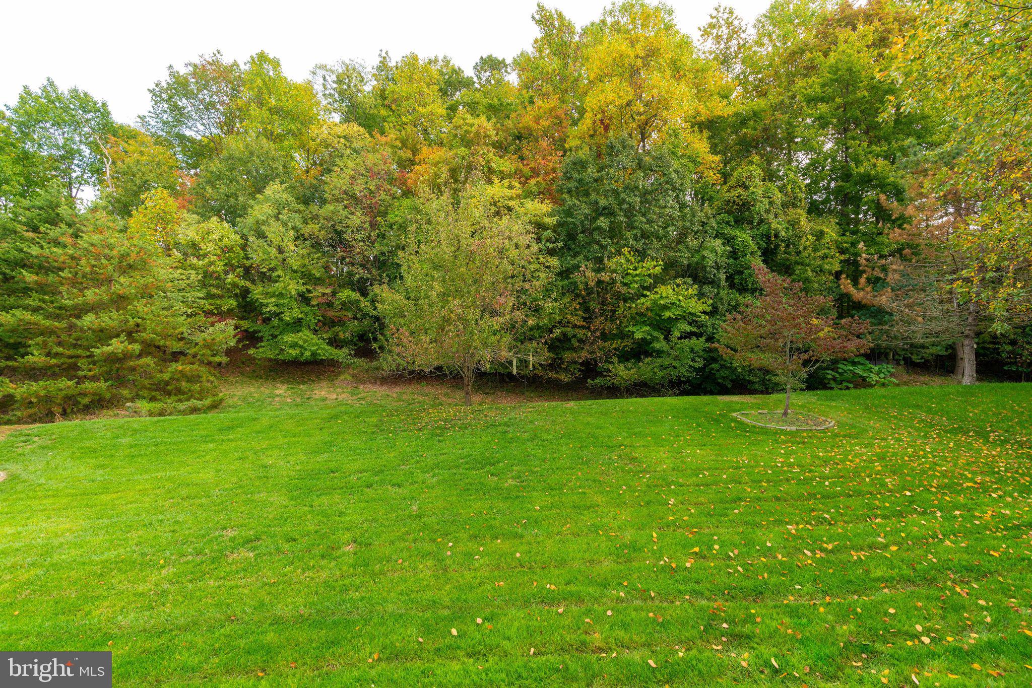 WAYSIDE VILLAGE - Residential