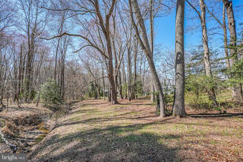 listing image 61
