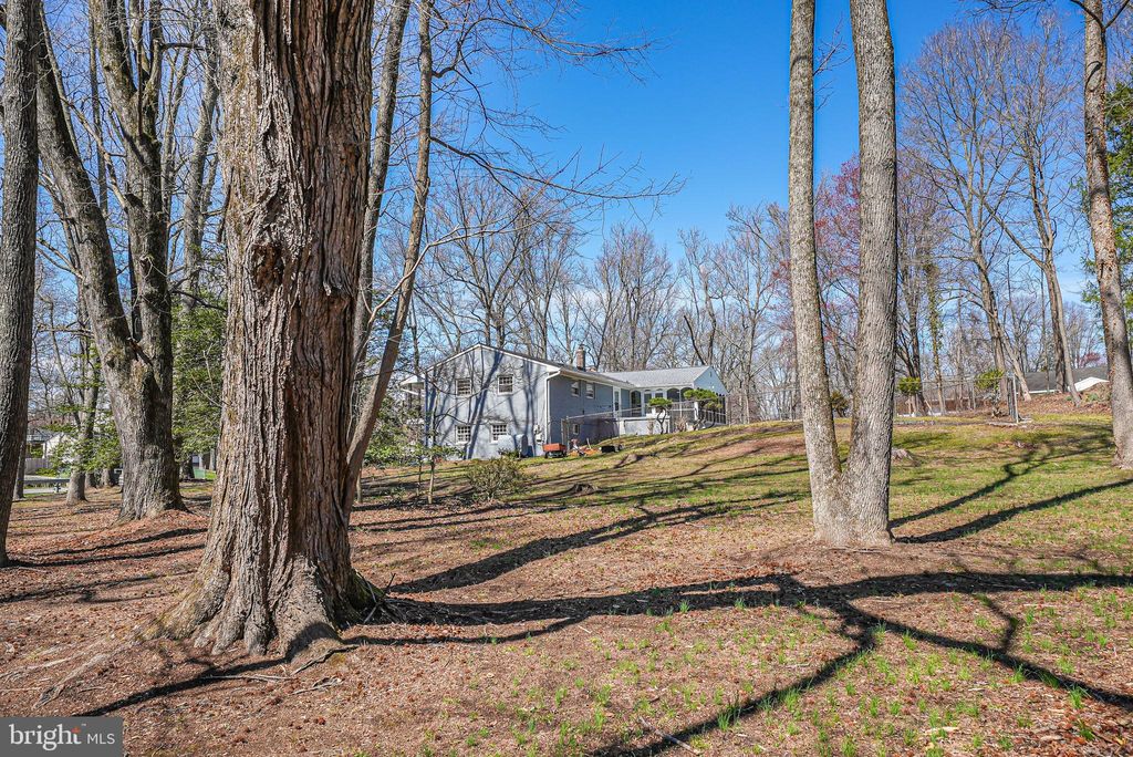 listing image 58