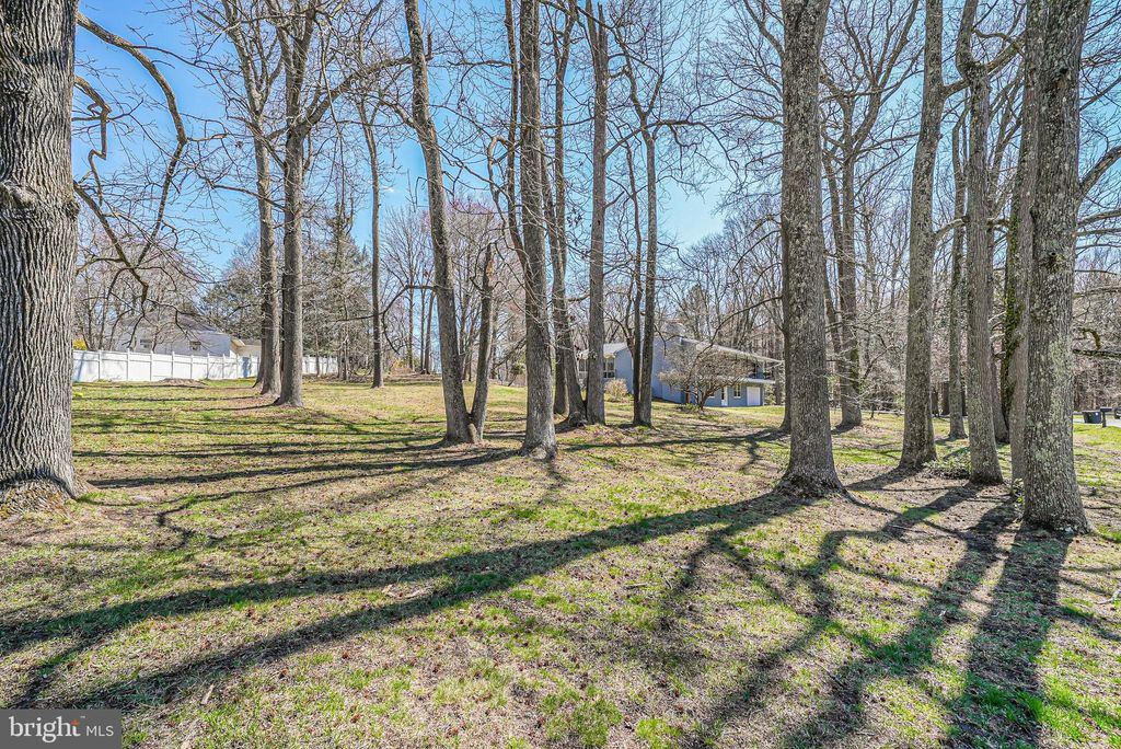 listing image 59