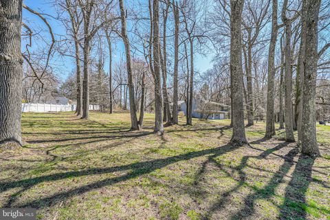 listing image 59