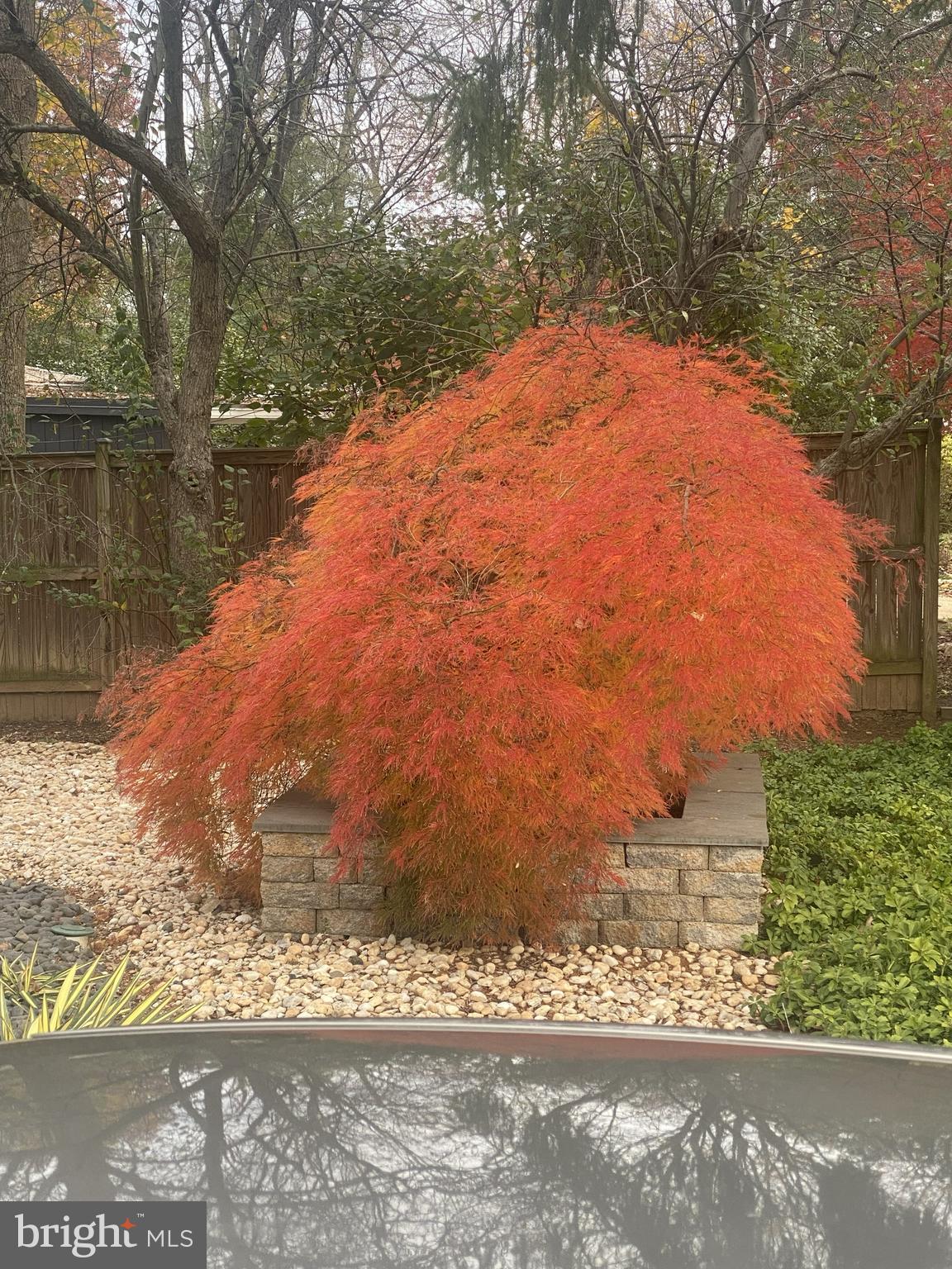 HOLMES RUN ACRES - Residential