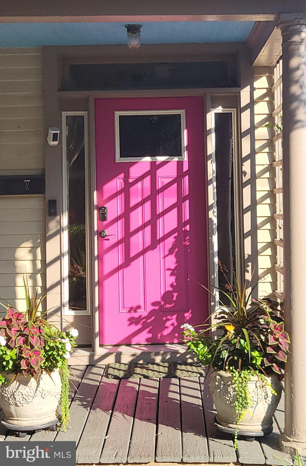 507 AMELIA STREET