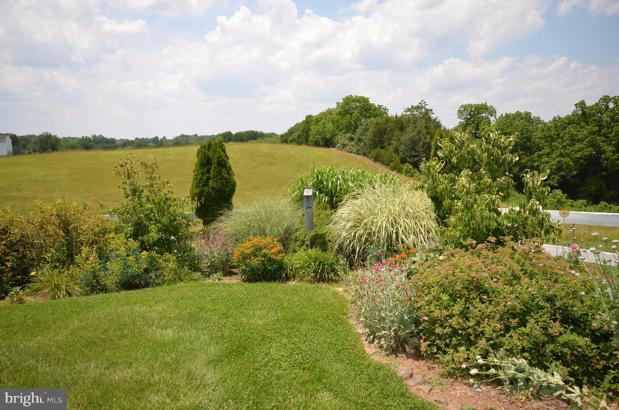PINEY MOUNTAIN - Residential